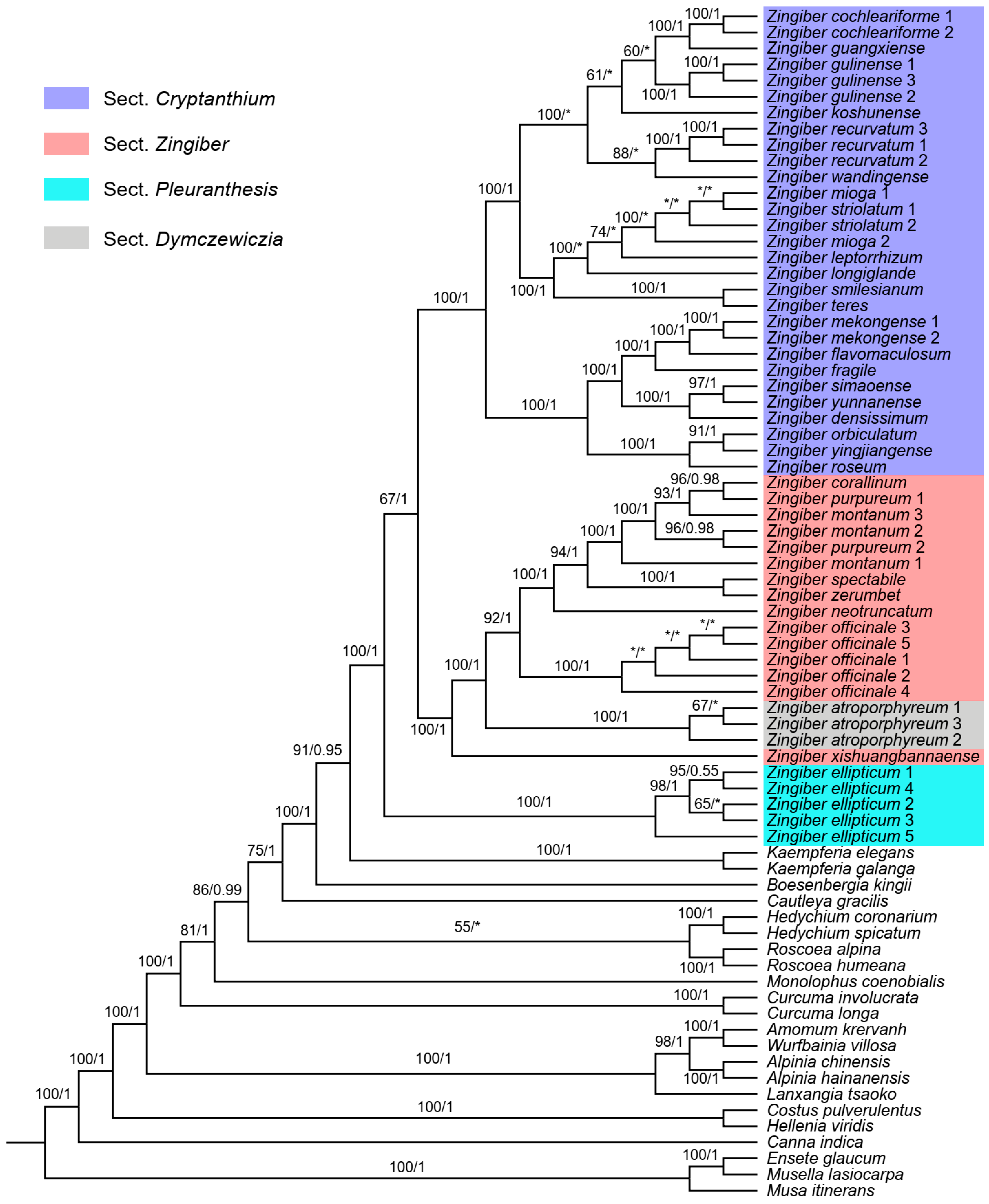 Genes 15 01484 g007
