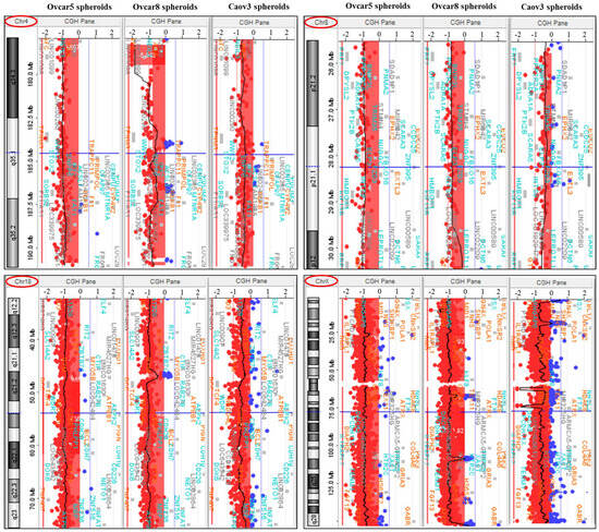 クリステンセン 2022 21-25 Kawasaki NINJA ZX10R ZX10 Engine Motor Crankshaft