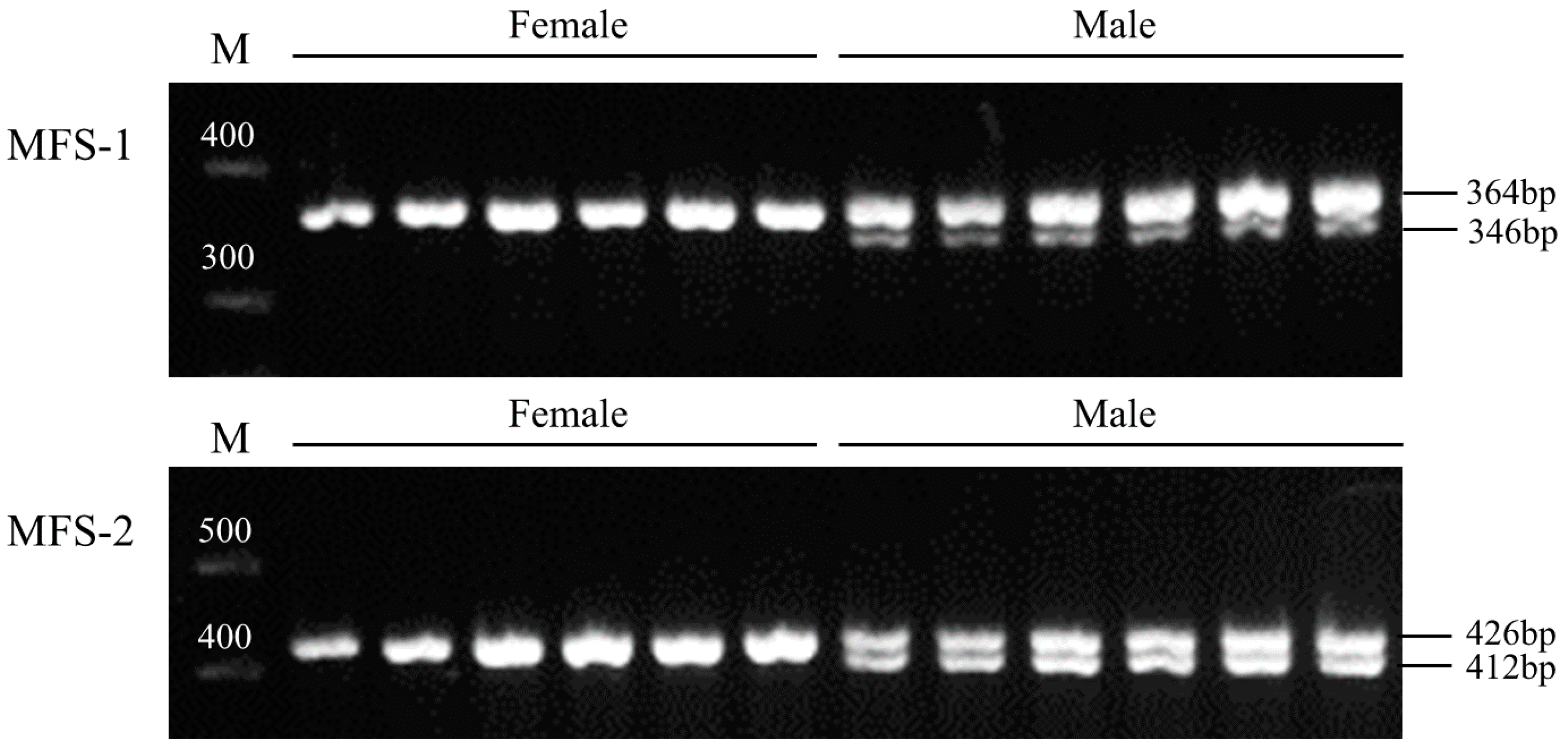 Genes 15 01493 g002