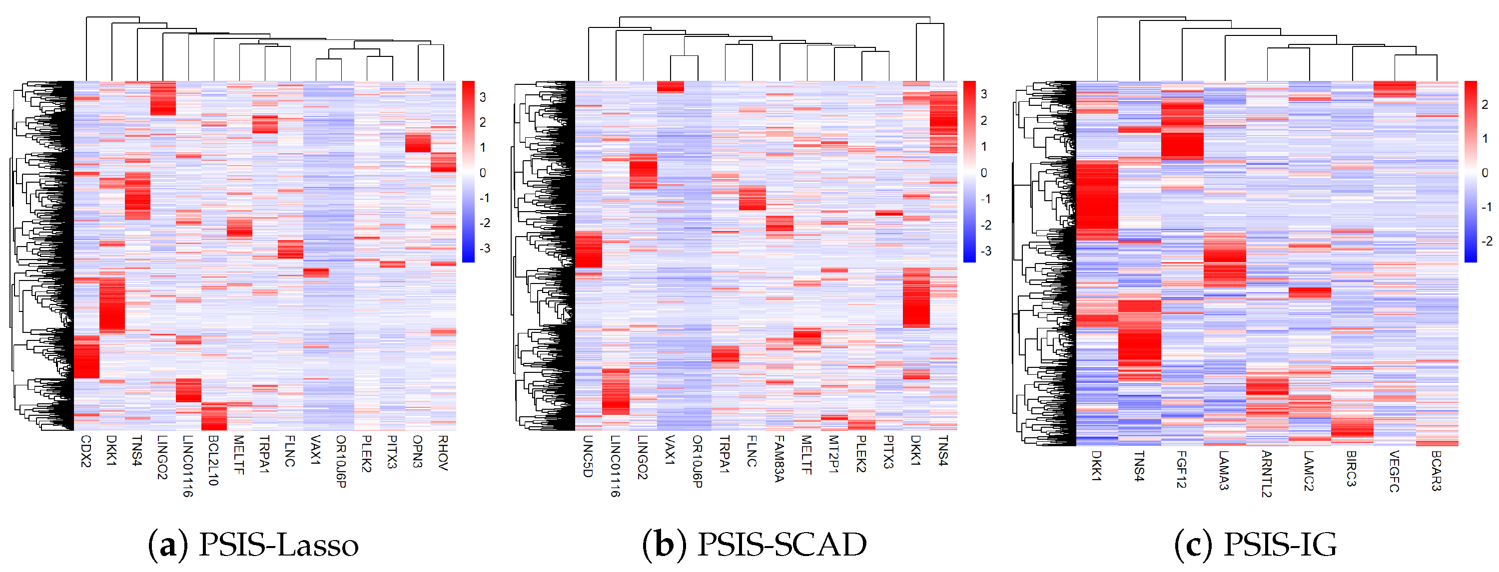 Genes 15 01497 g004