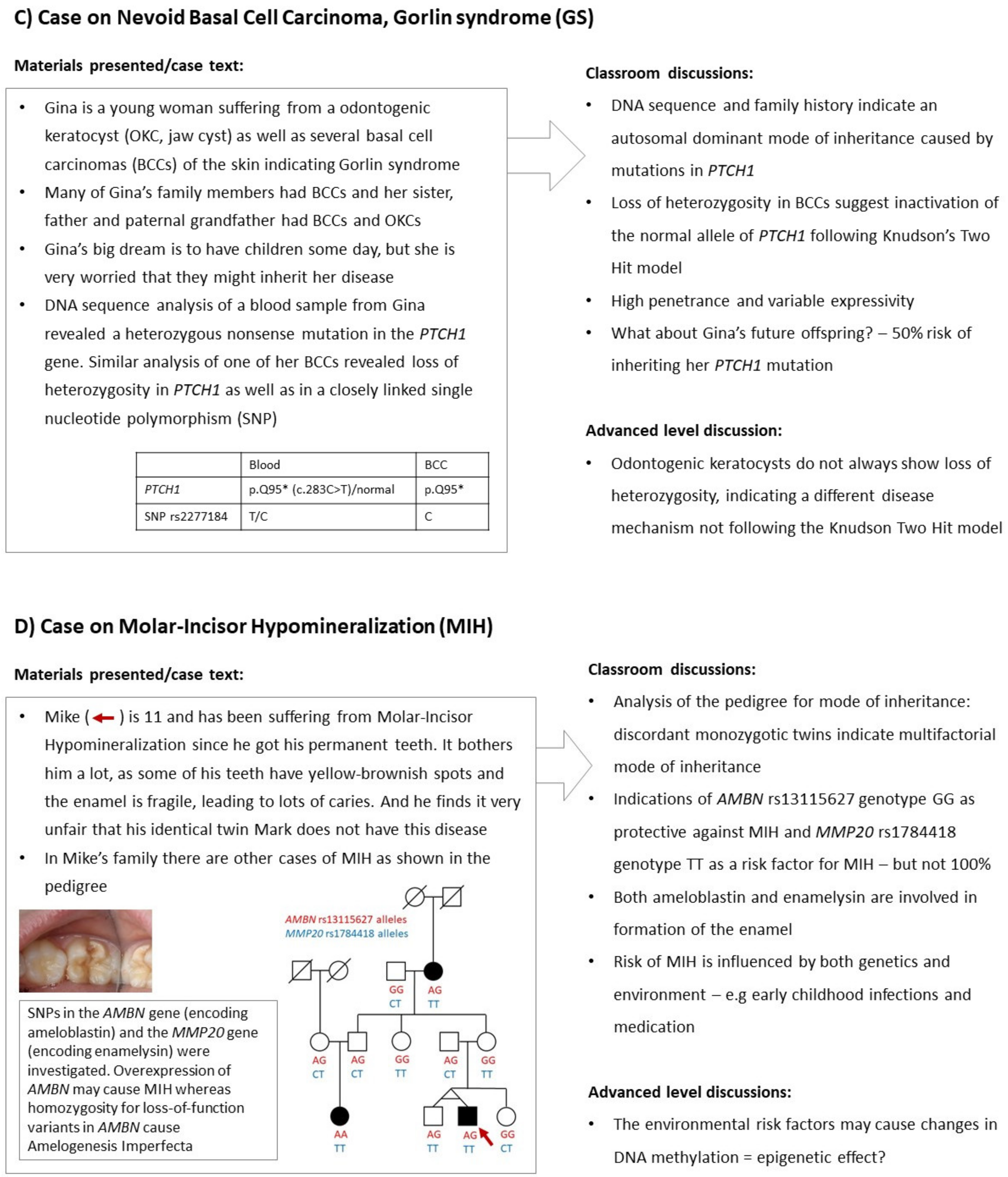 Genes 15 01499 g001b