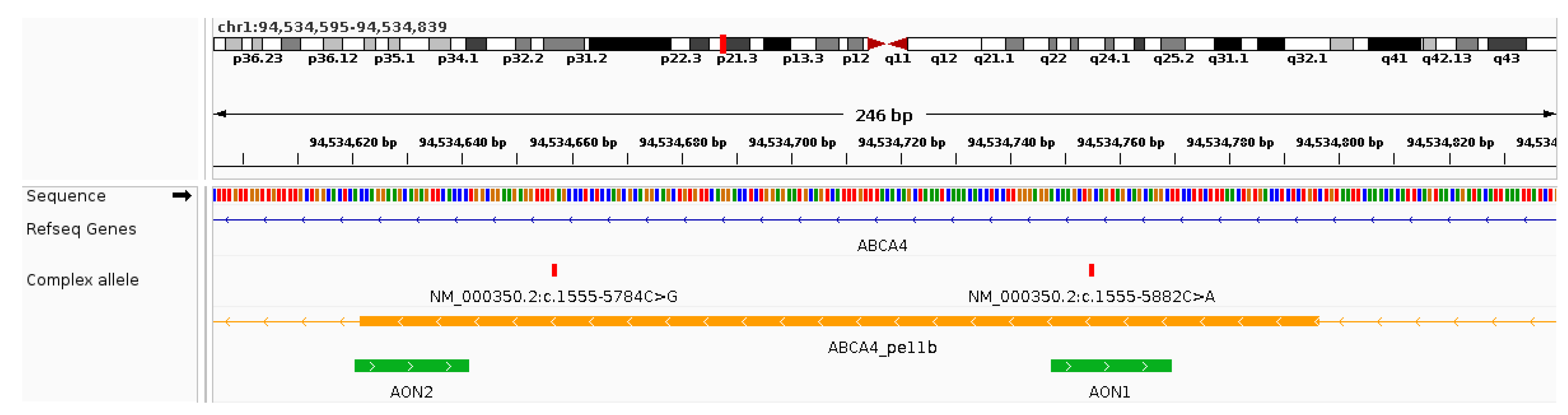 Genes 15 01503 g004