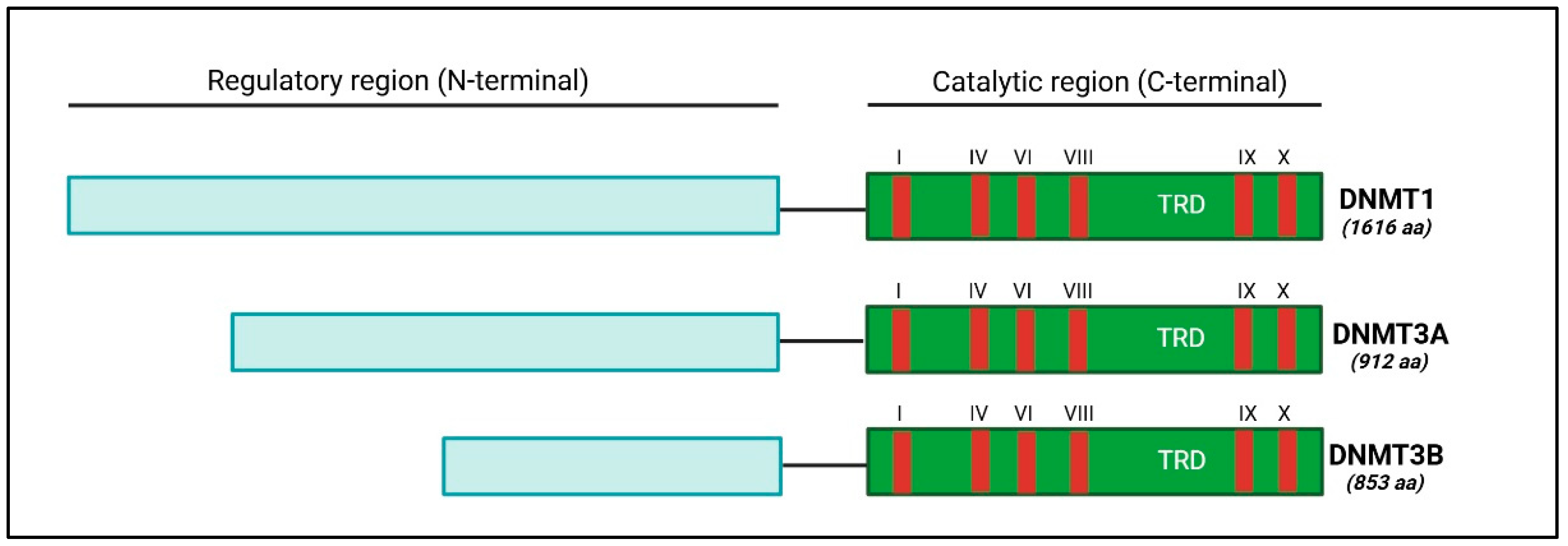 Genes 15 01504 g002 Genes 15 01504 g002