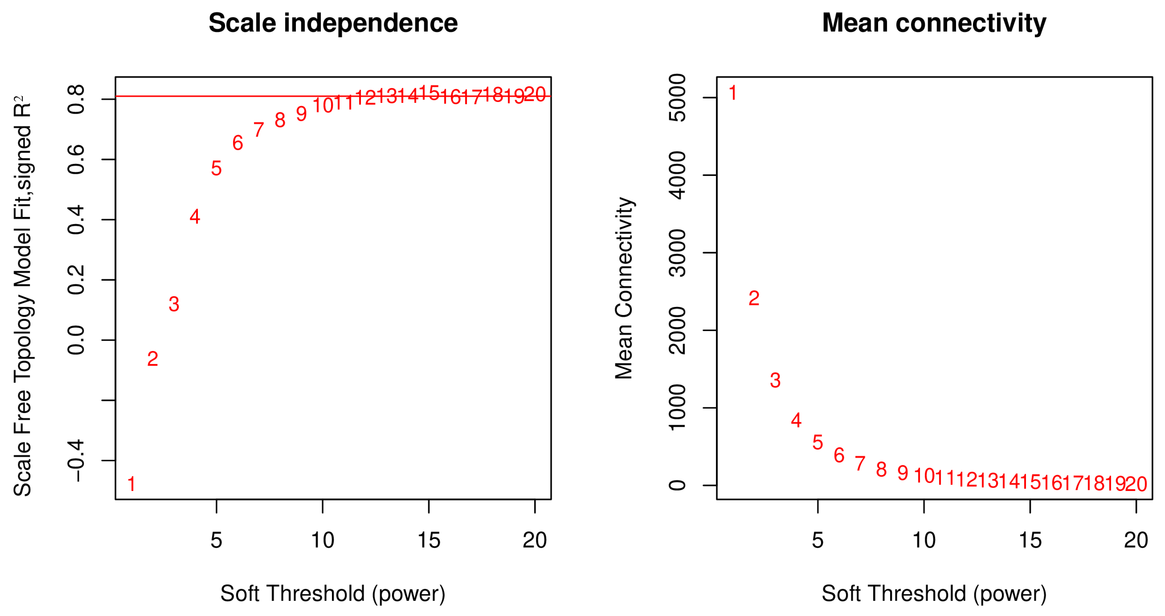 Genes 15 01505 g001