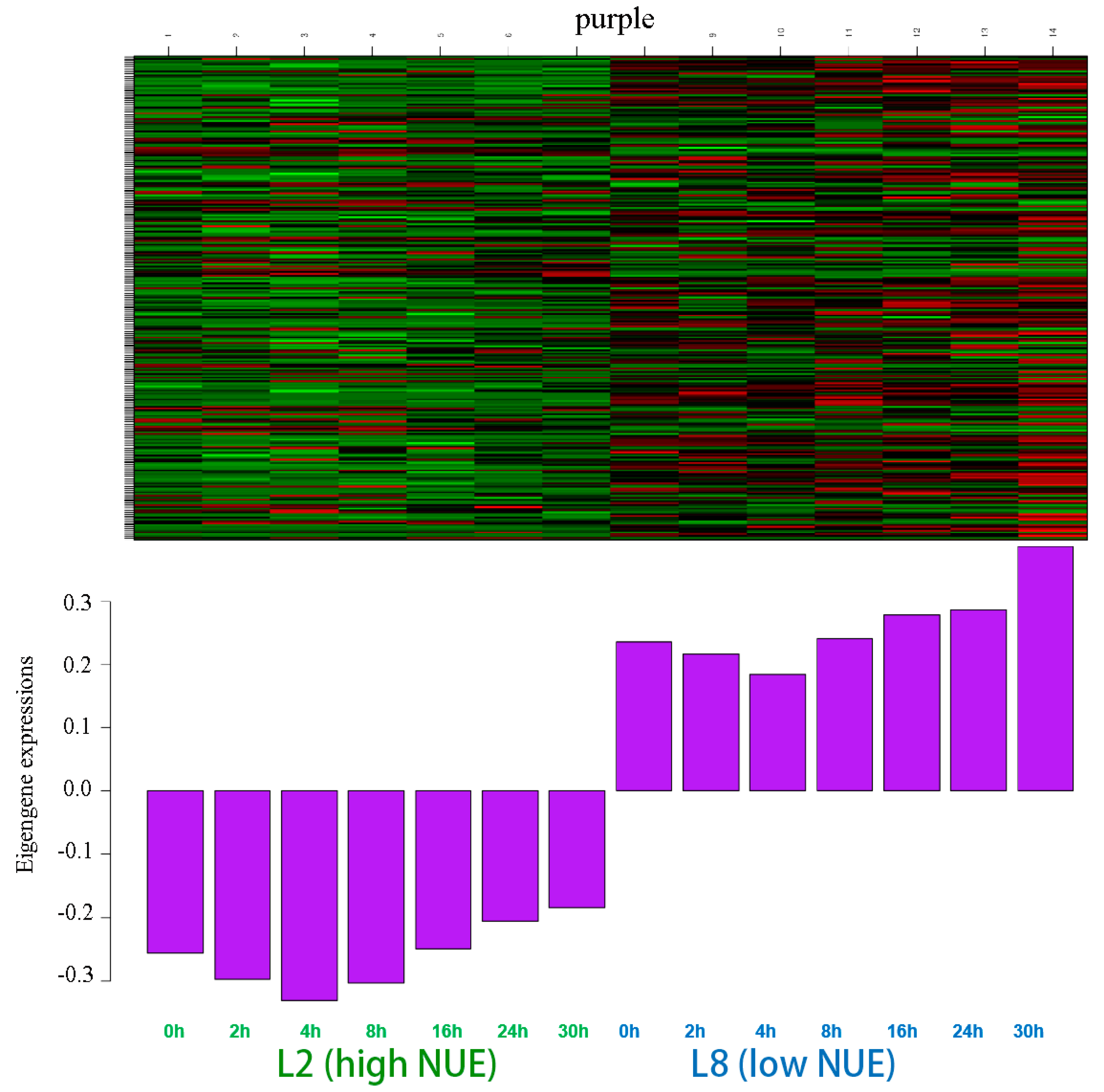 Genes 15 01505 g003
