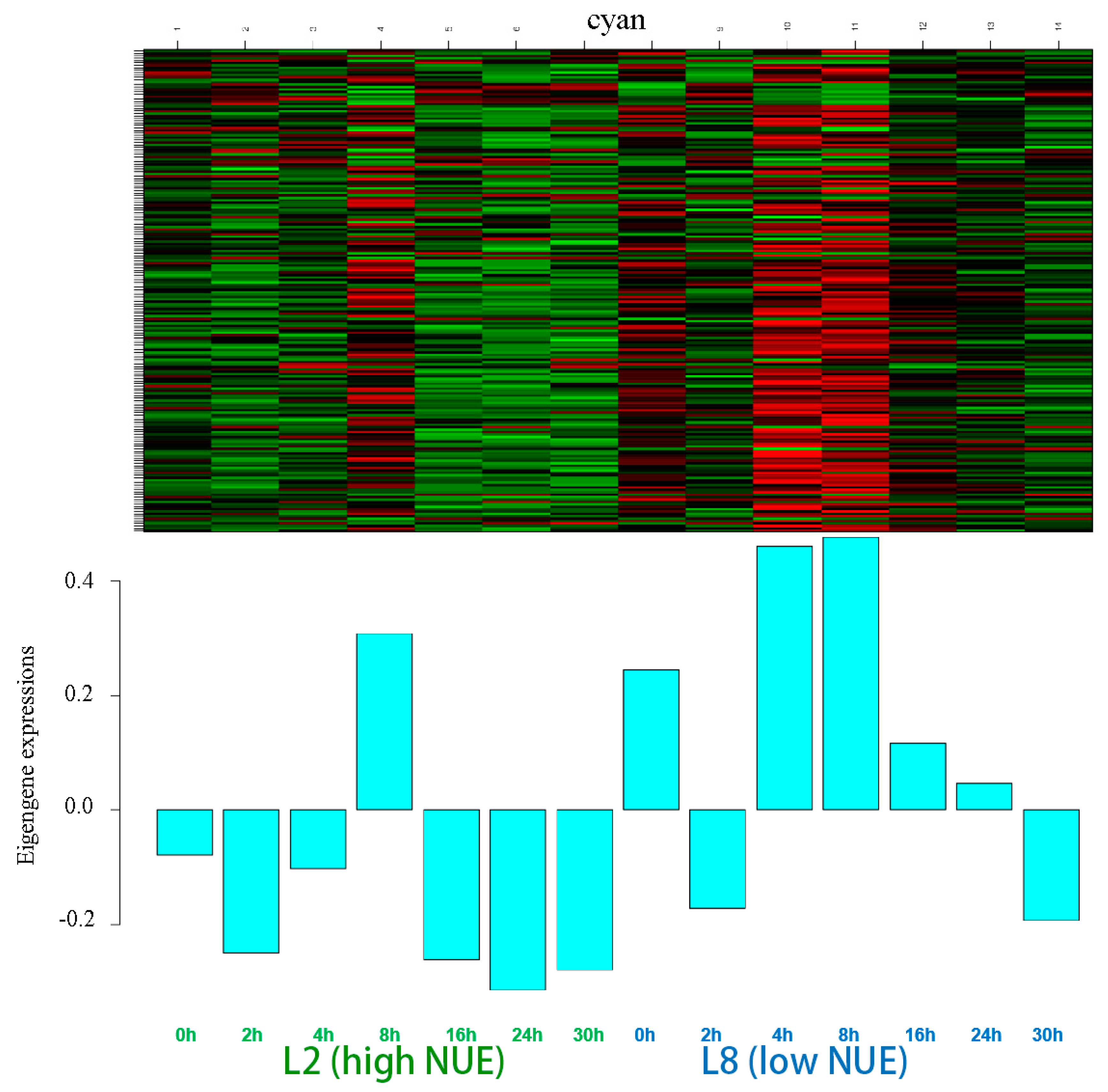 Genes 15 01505 g006