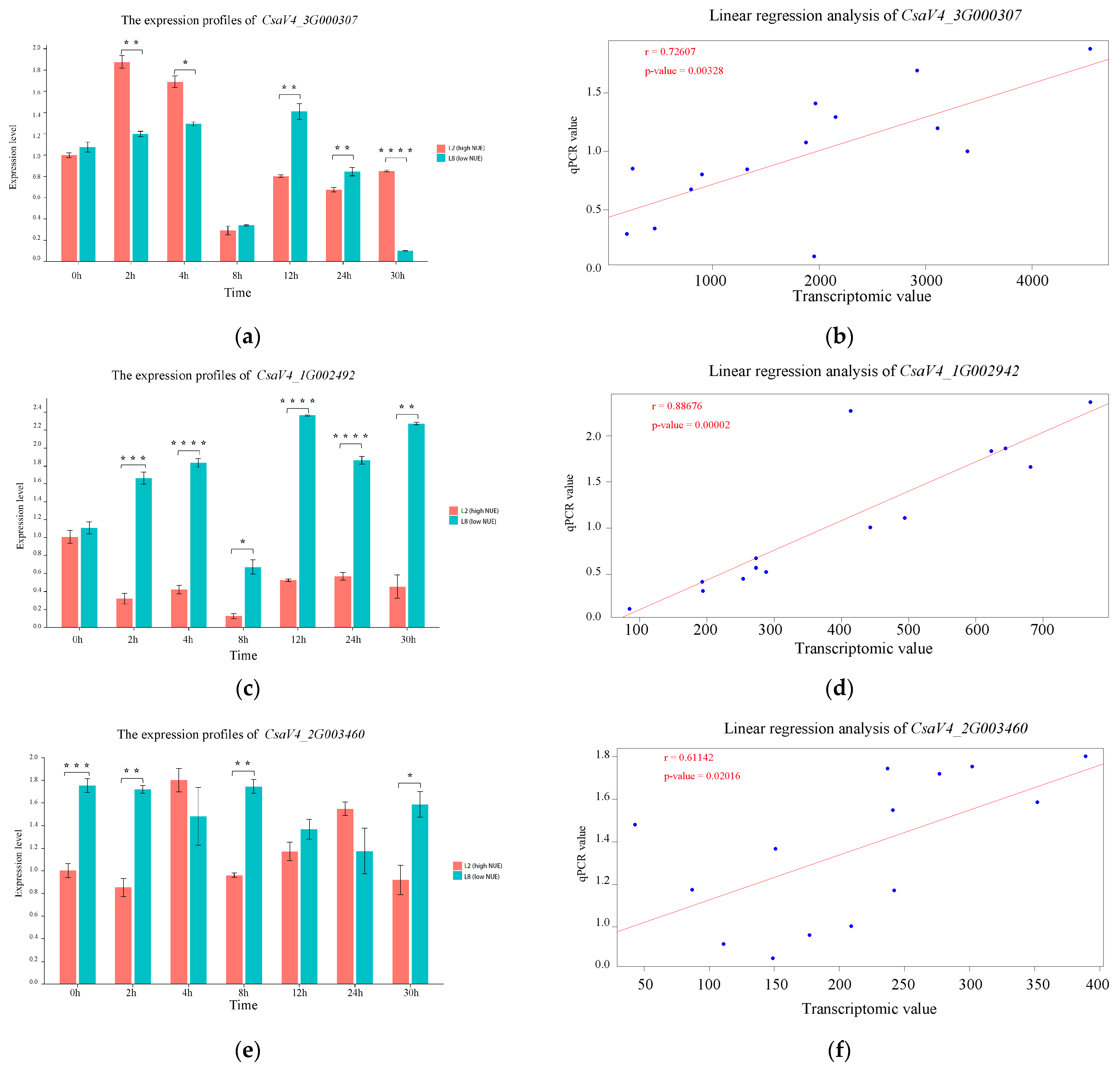 Genes 15 01505 g008a