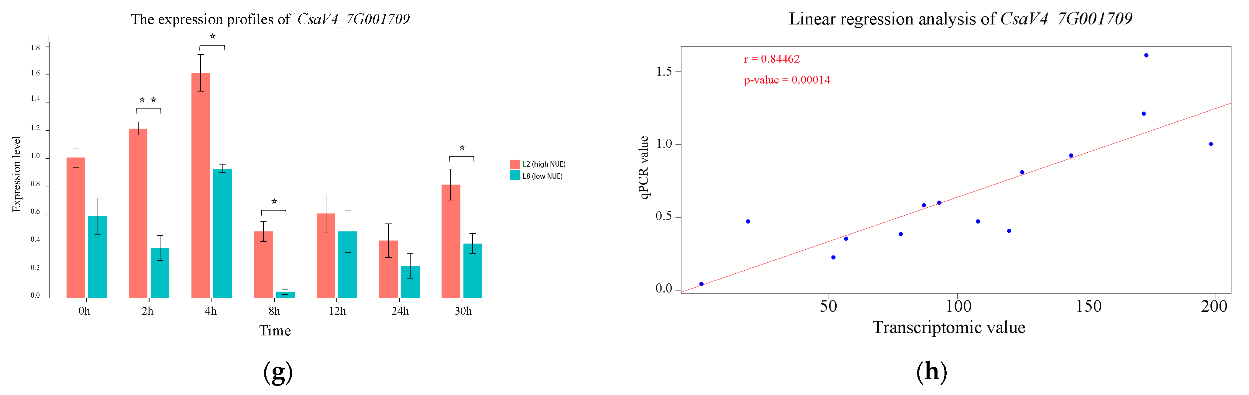Genes 15 01505 g008b