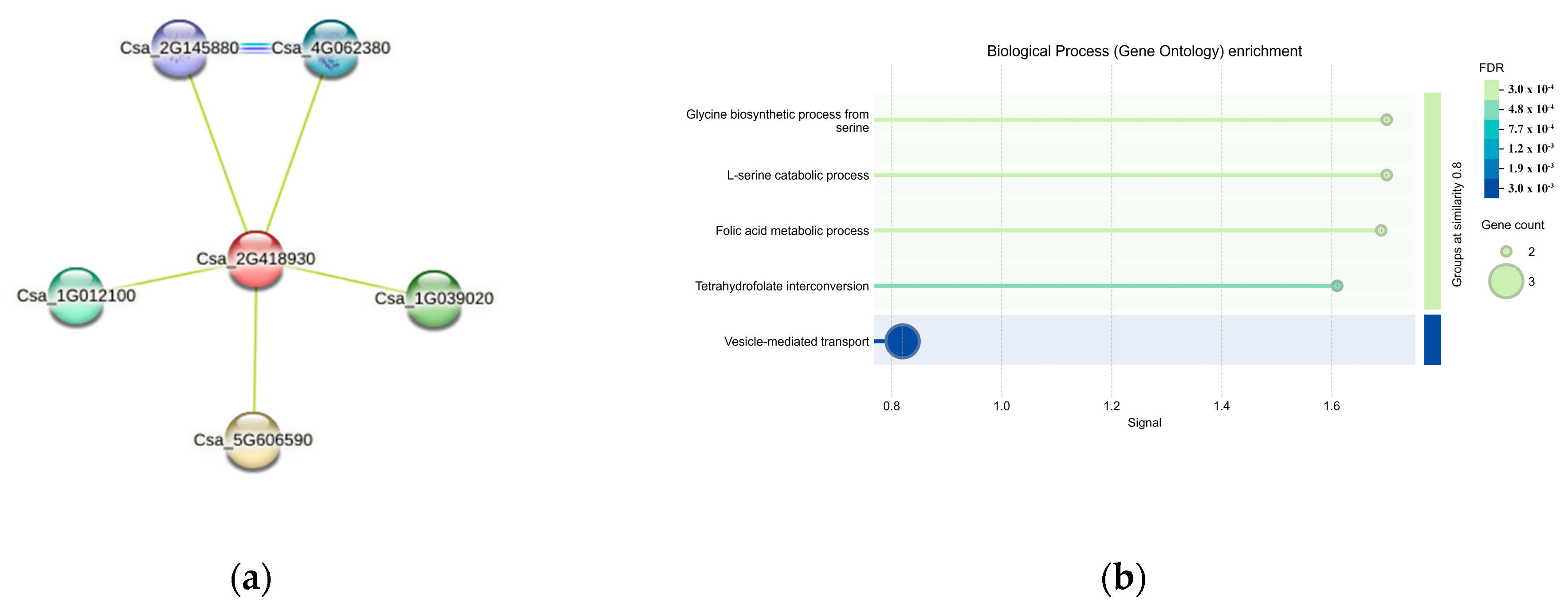 Genes 15 01505 g011