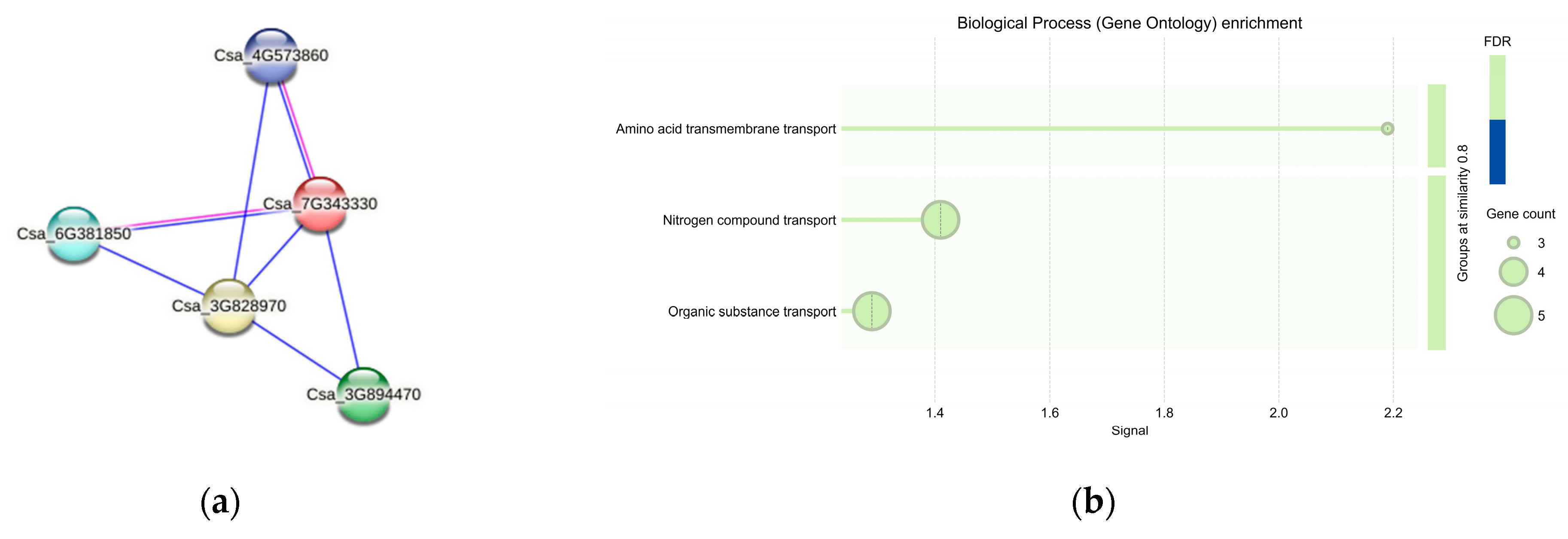 Genes 15 01505 g012