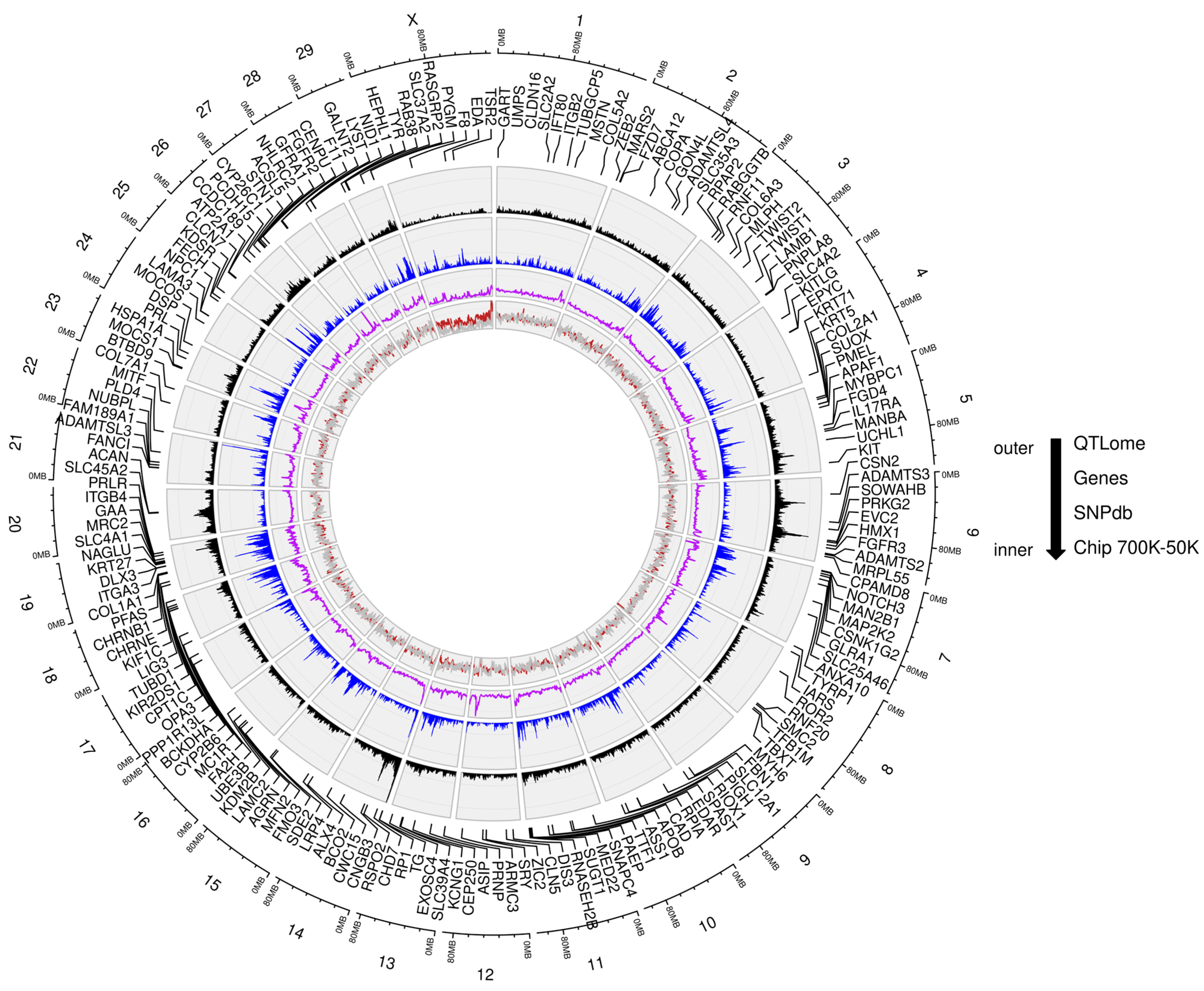 Genes 15 01513 g001