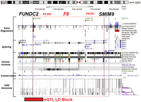 Genomic Landscape of Chromosome X Factor VIII: From Hemophilia A in ...