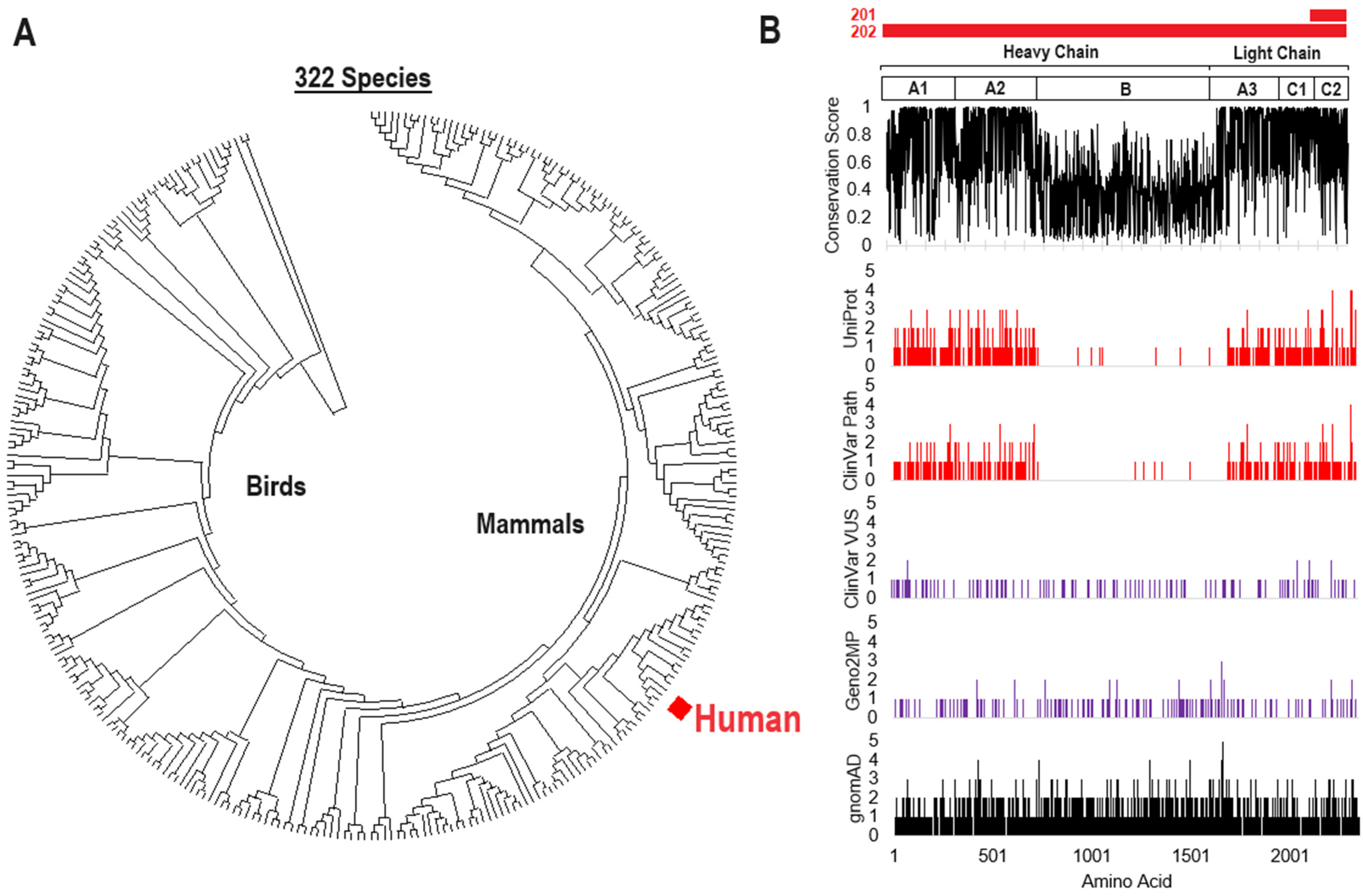 Genes 15 01522 g003