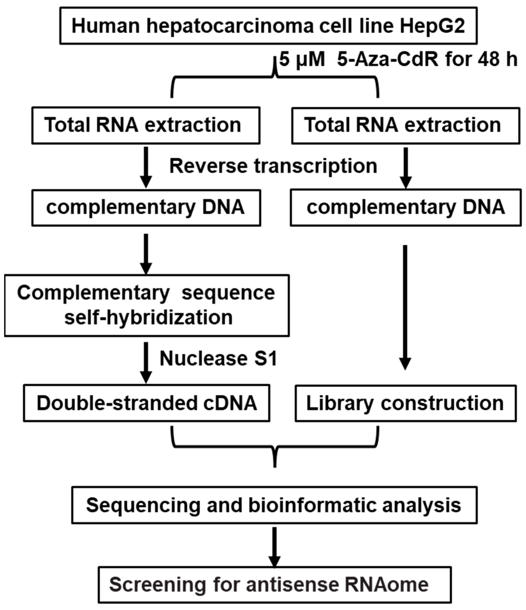 Genes 15 01524 g001
