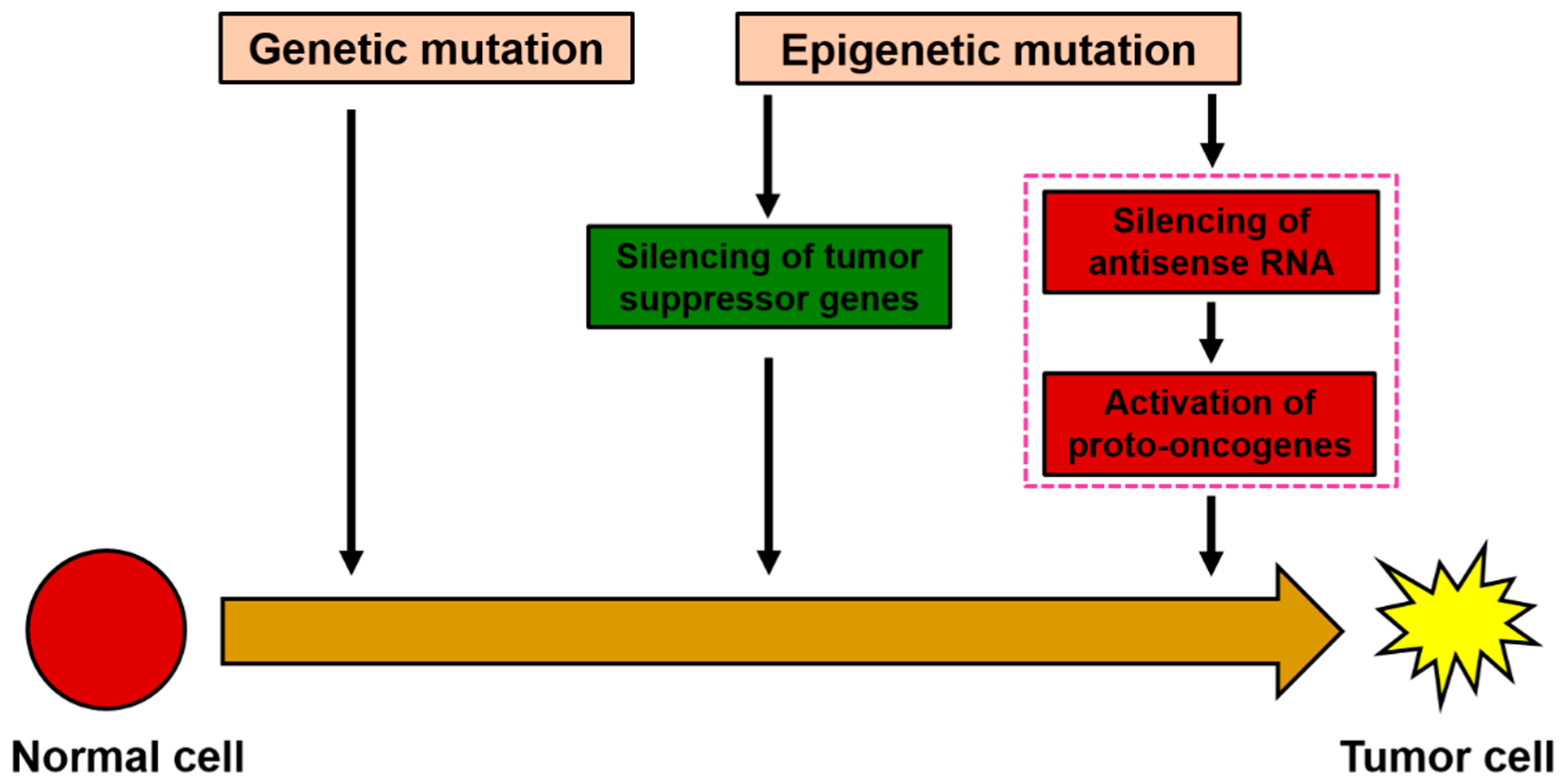 Genes 15 01524 g007