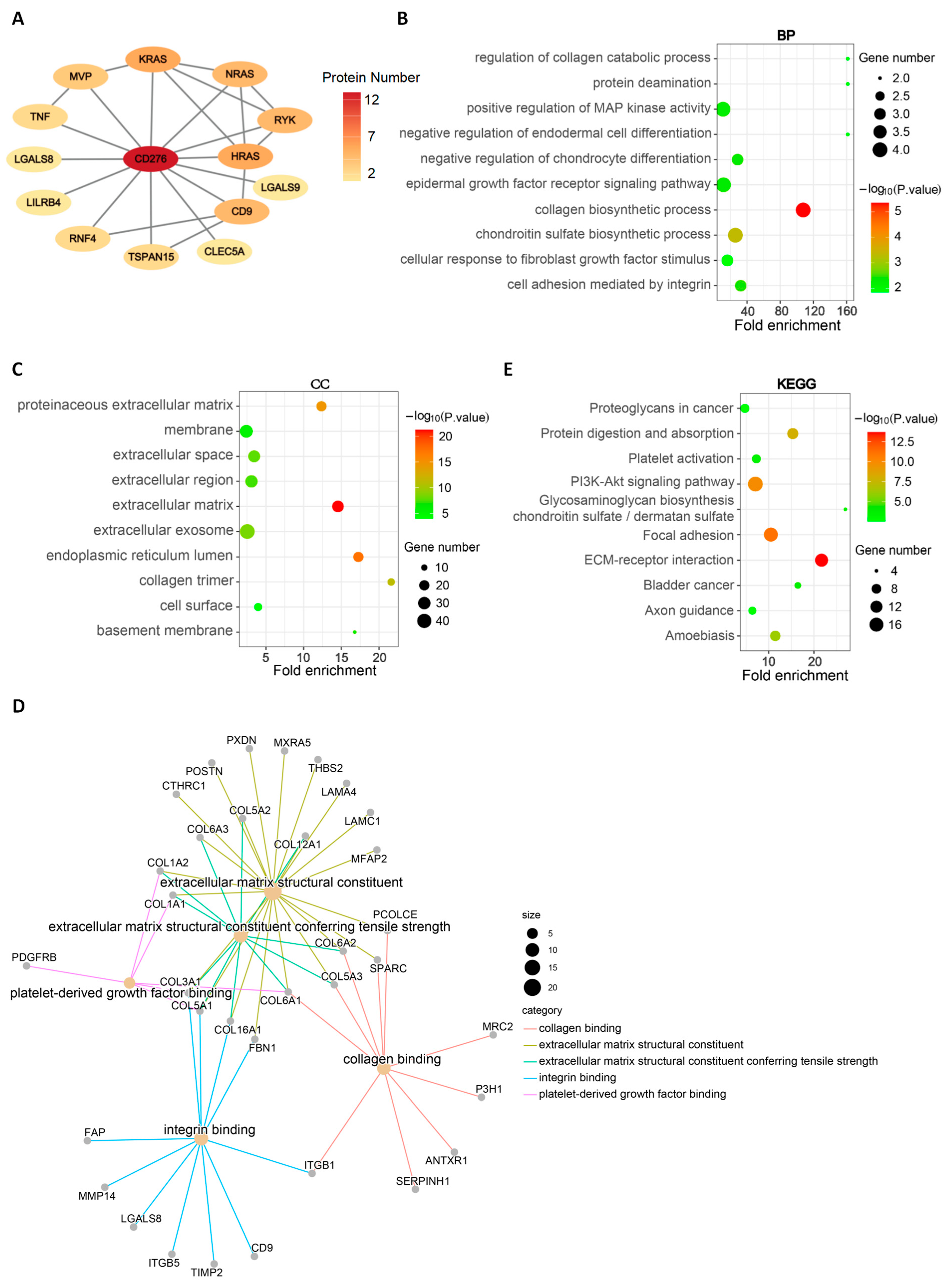 Genes 15 01527 g005