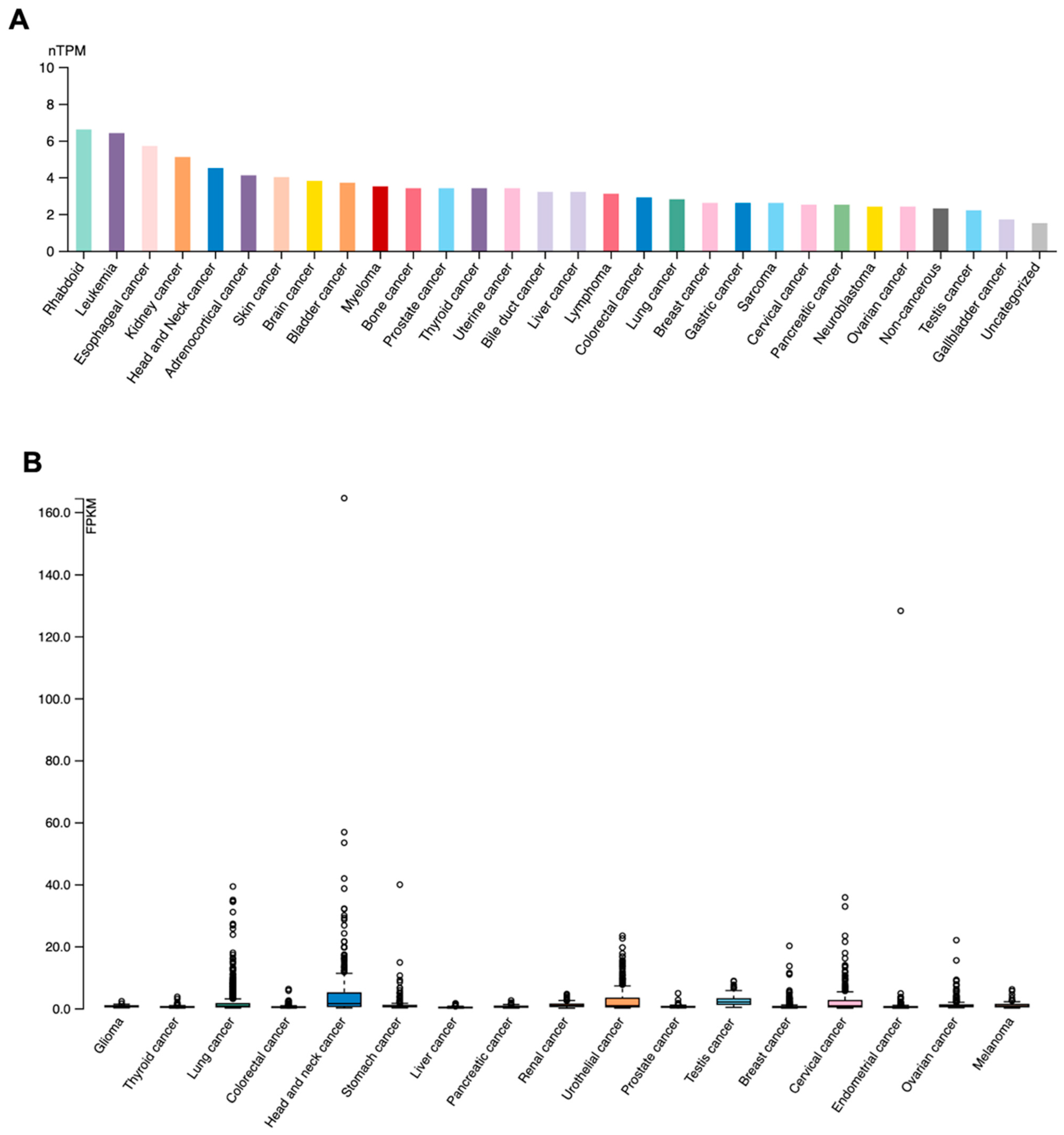 Genes 15 01531 g002a