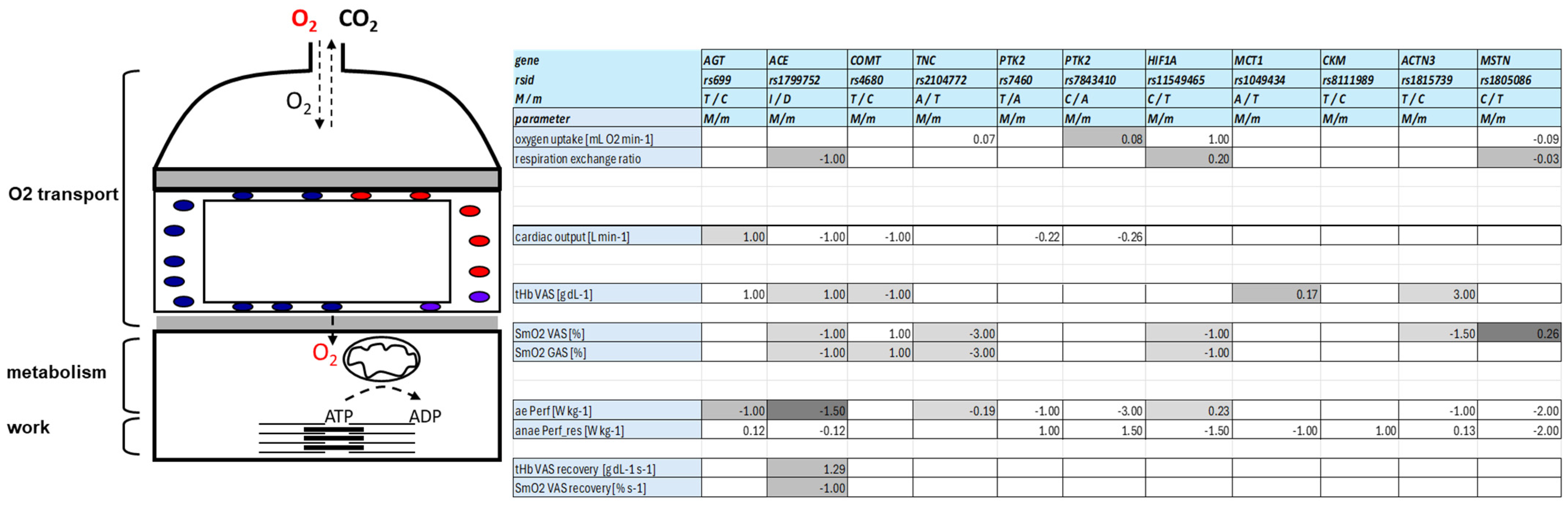 Genes 15 01535 g001 Genes 15 01535 g001