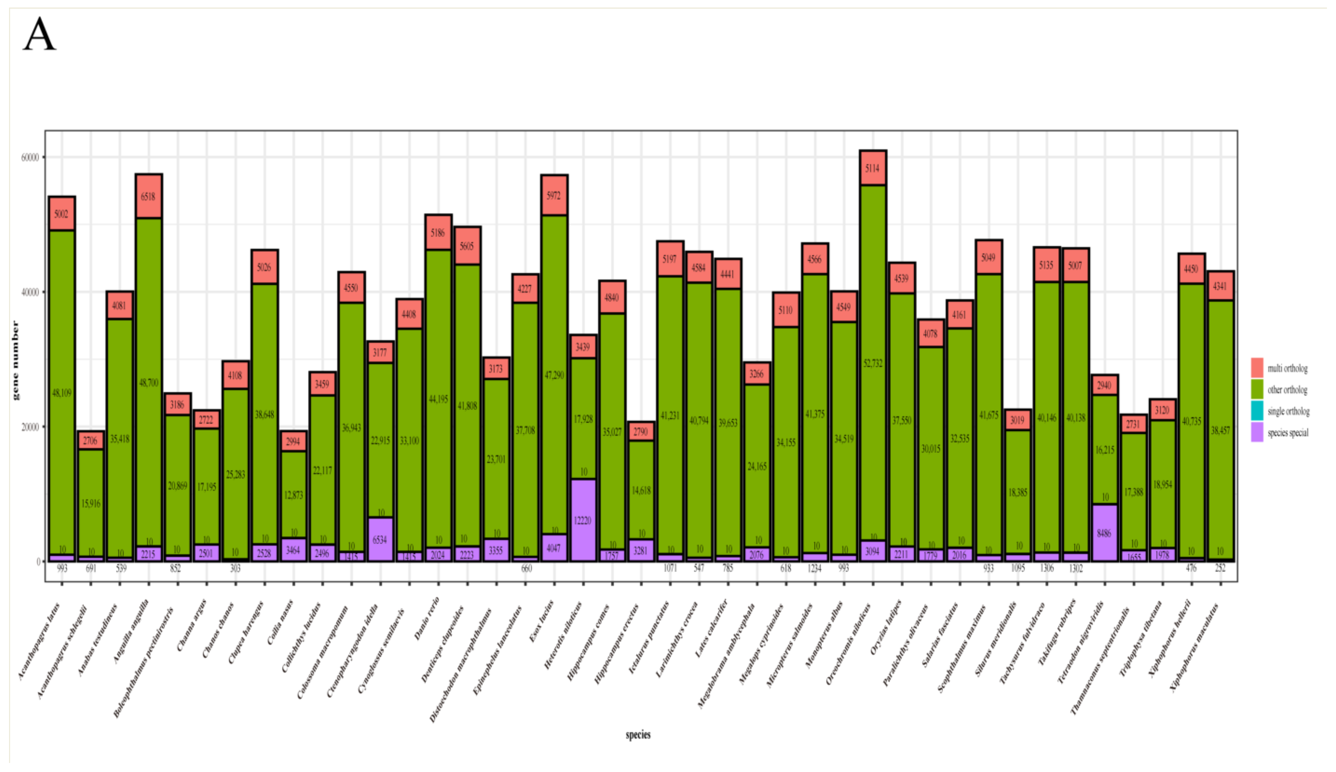 Genes 15 01536 g002a