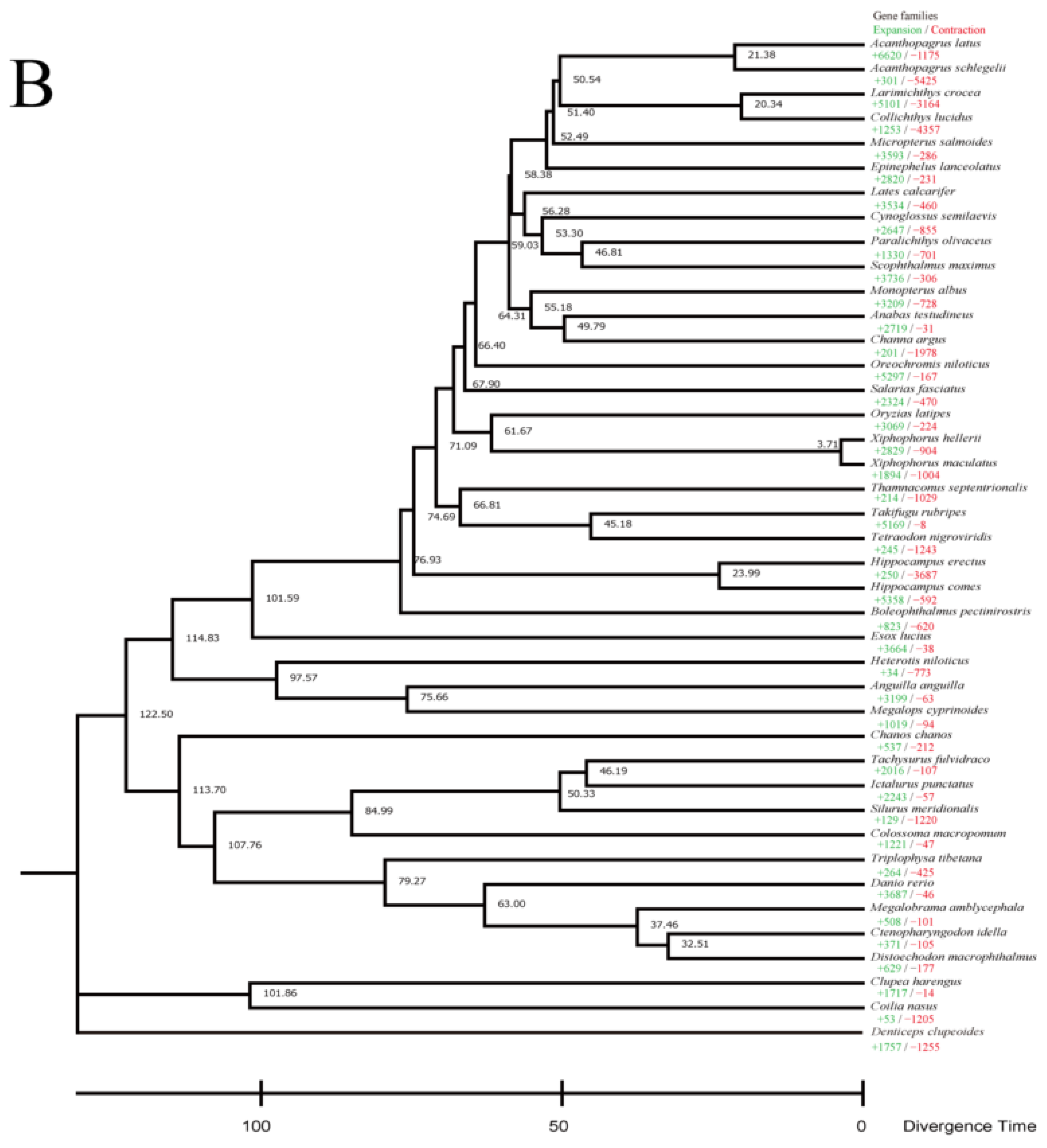 Genes 15 01536 g002b