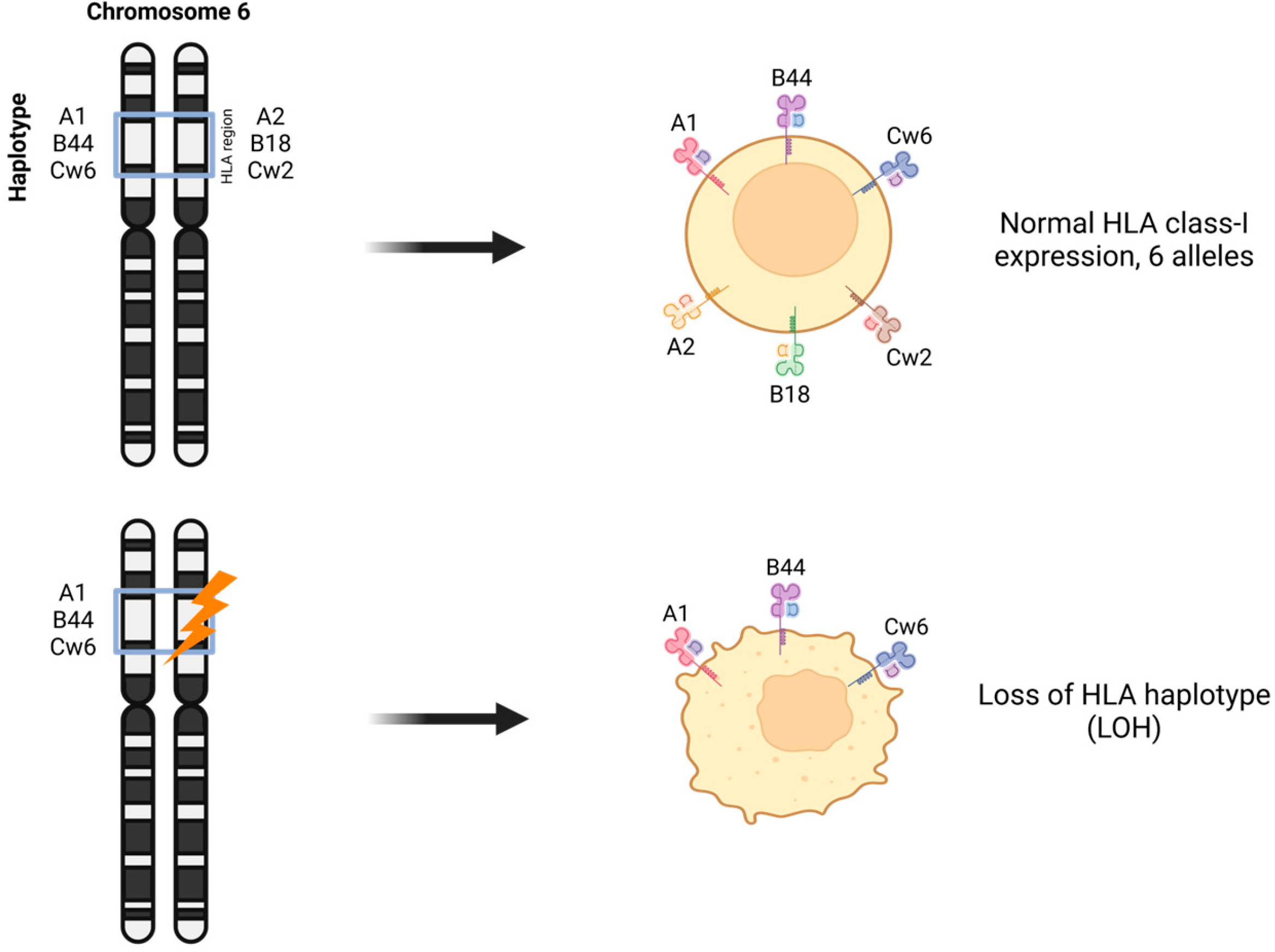 Genes 15 01542 g004 Genes 15 01542 g004