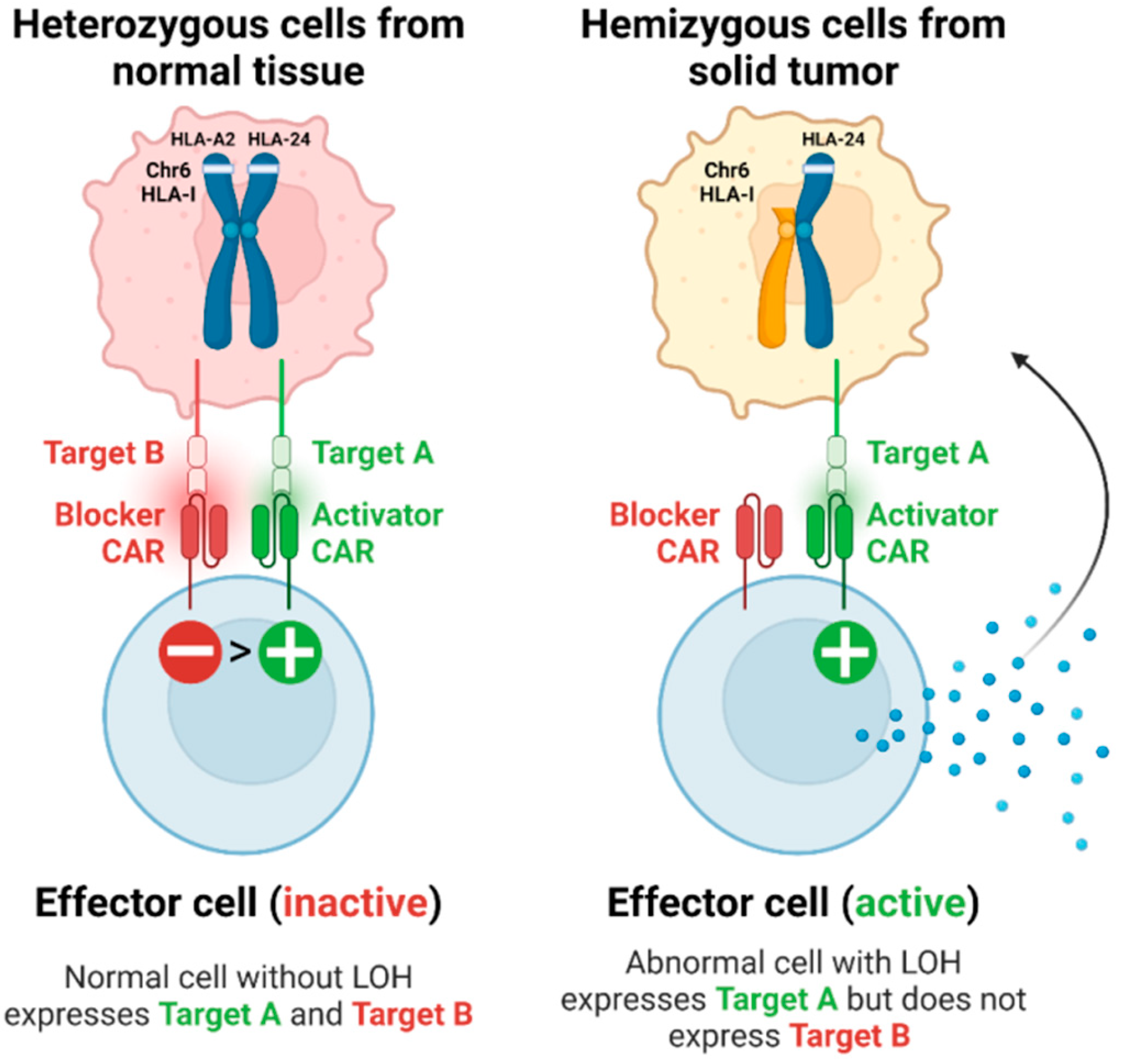 Genes 15 01542 g005 Genes 15 01542 g005