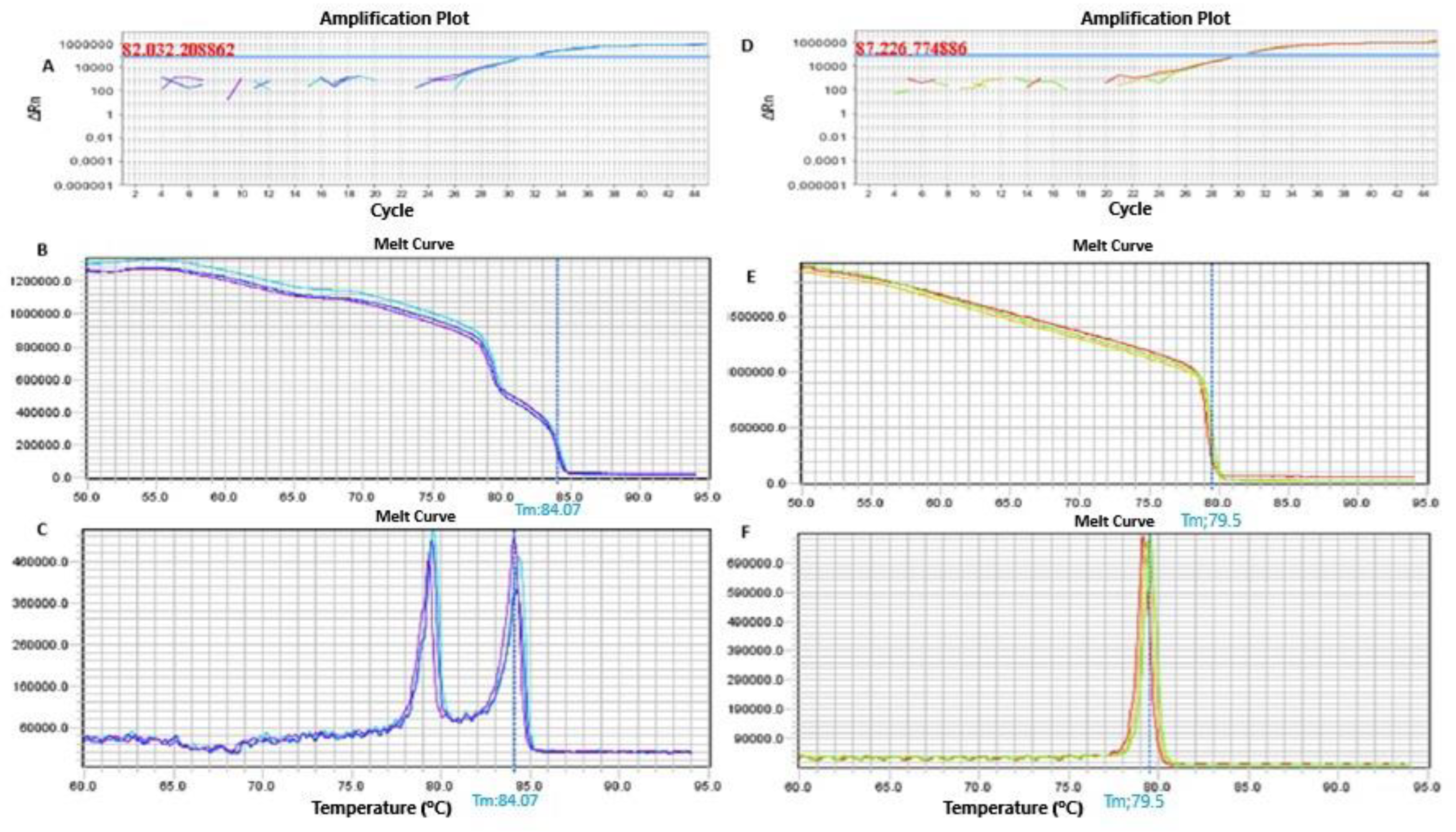Genes 15 01546 g002