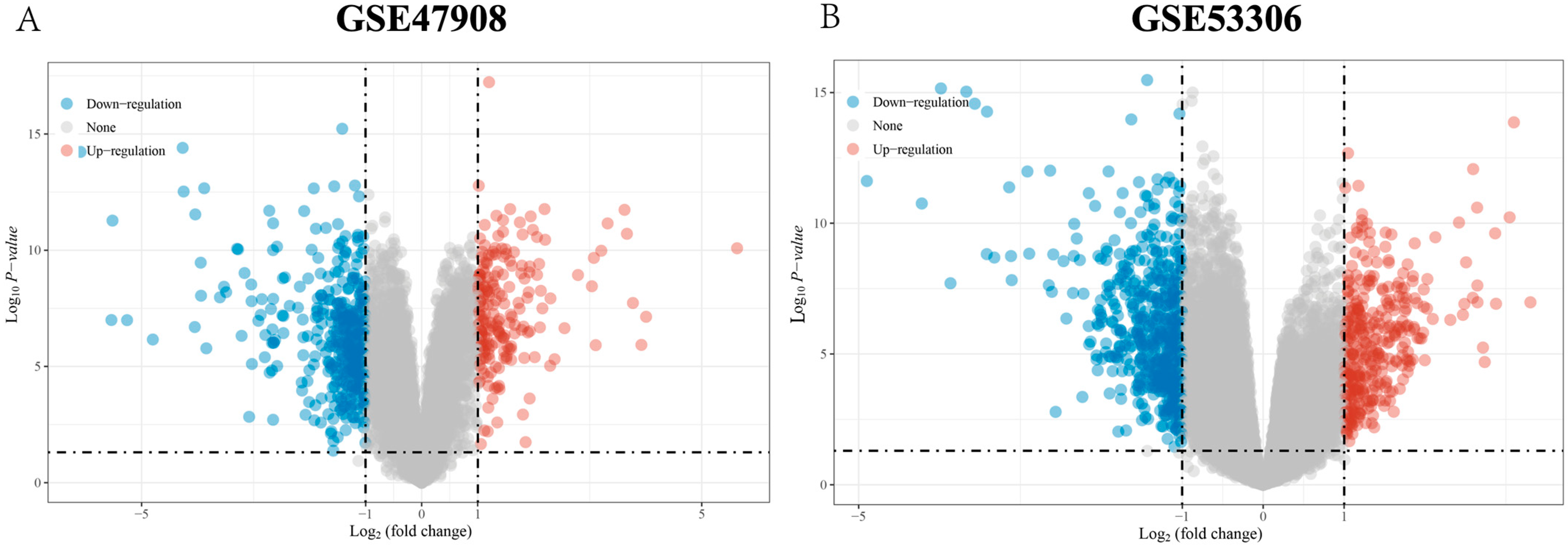 Genes 15 01548 g001