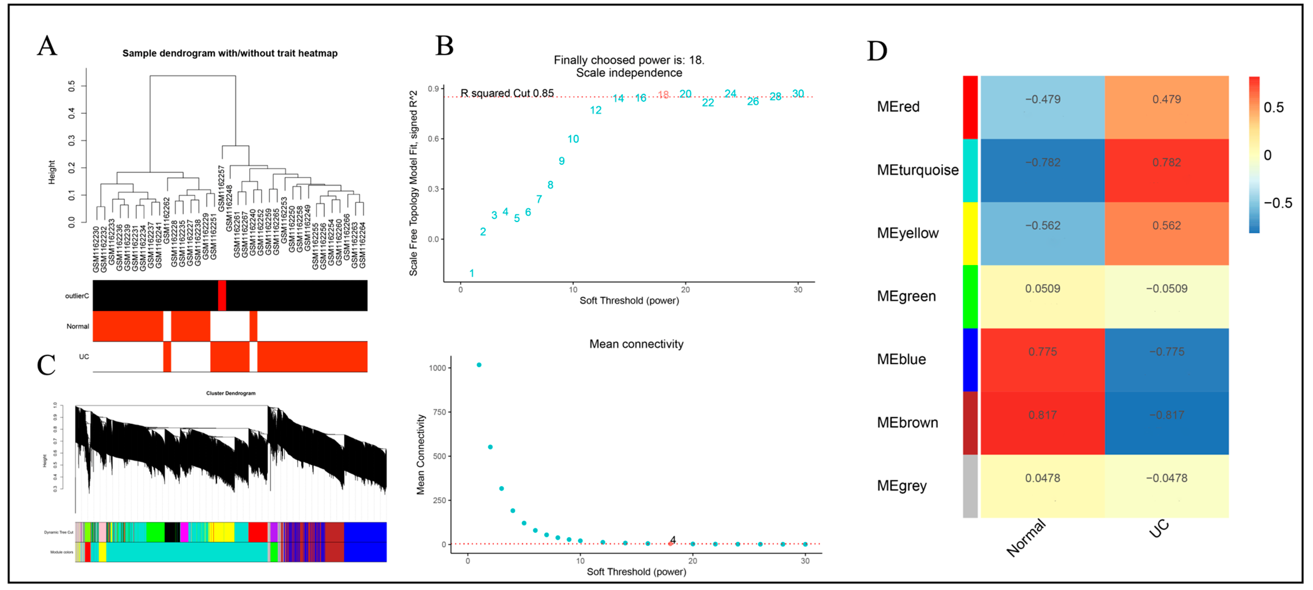 Genes 15 01548 g002