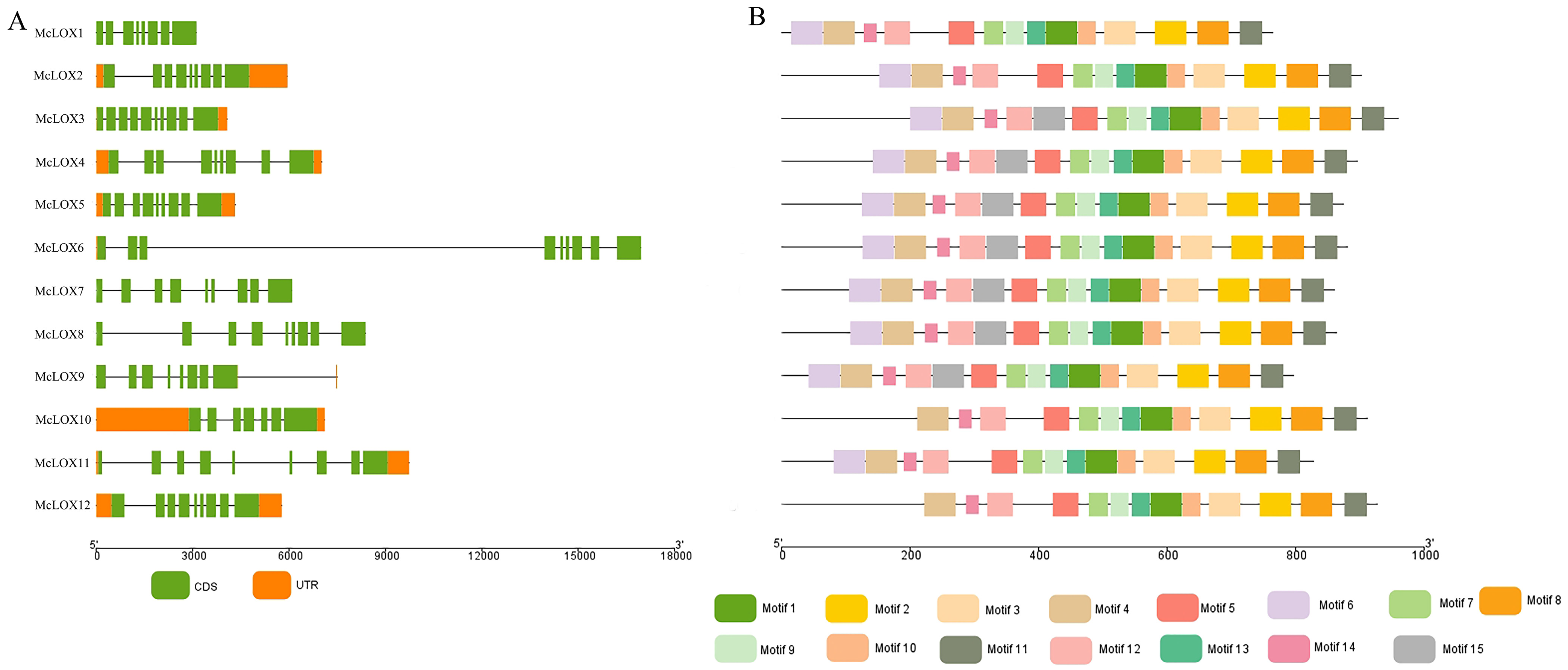 Genes 15 01557 g005
