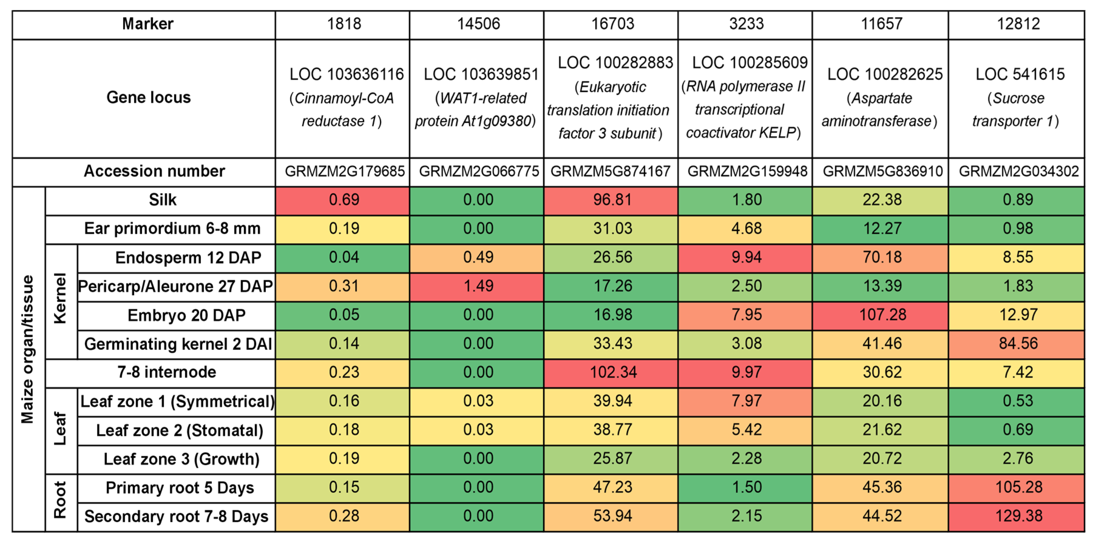 Genes 15 01558 g011