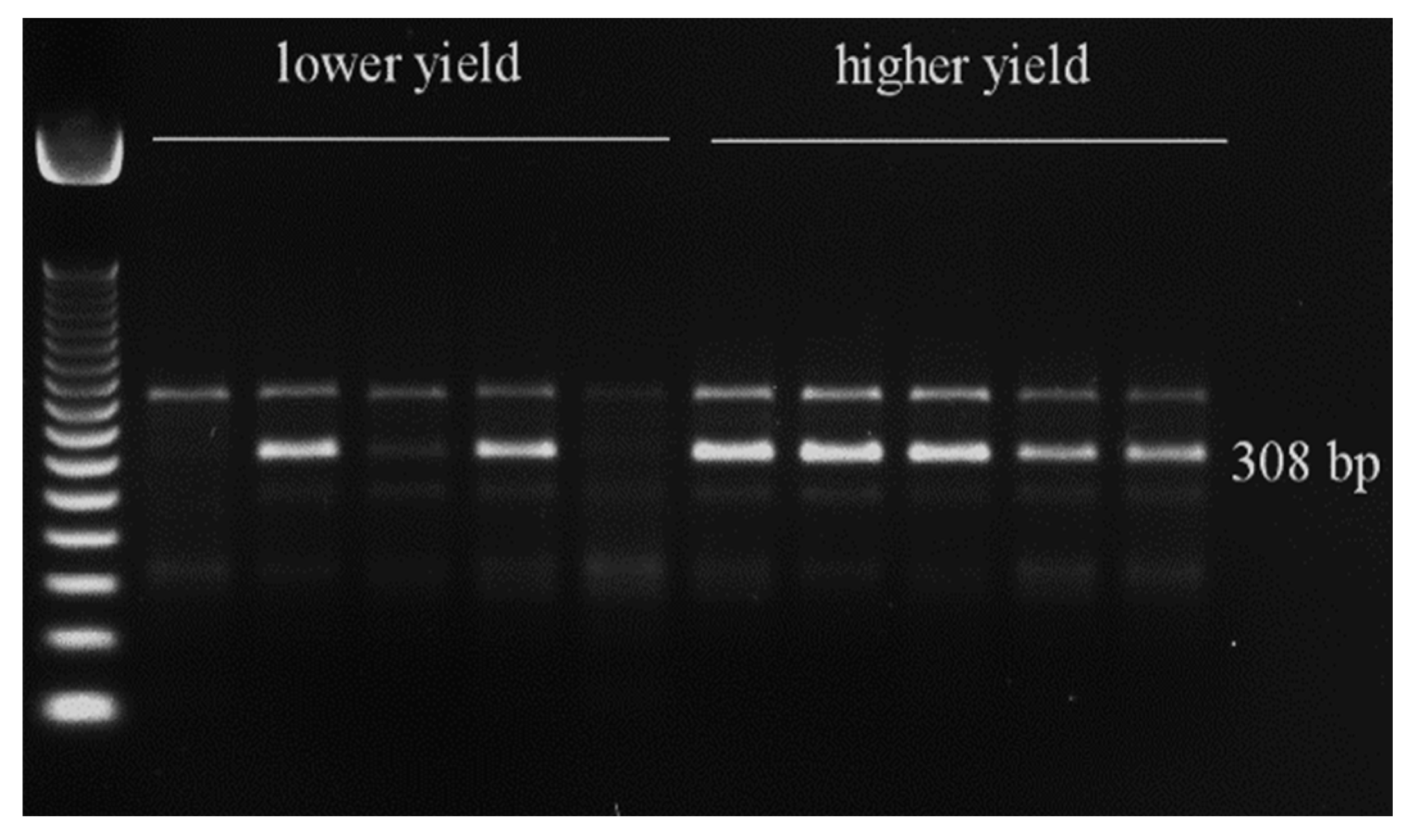 Genes 15 01558 g012