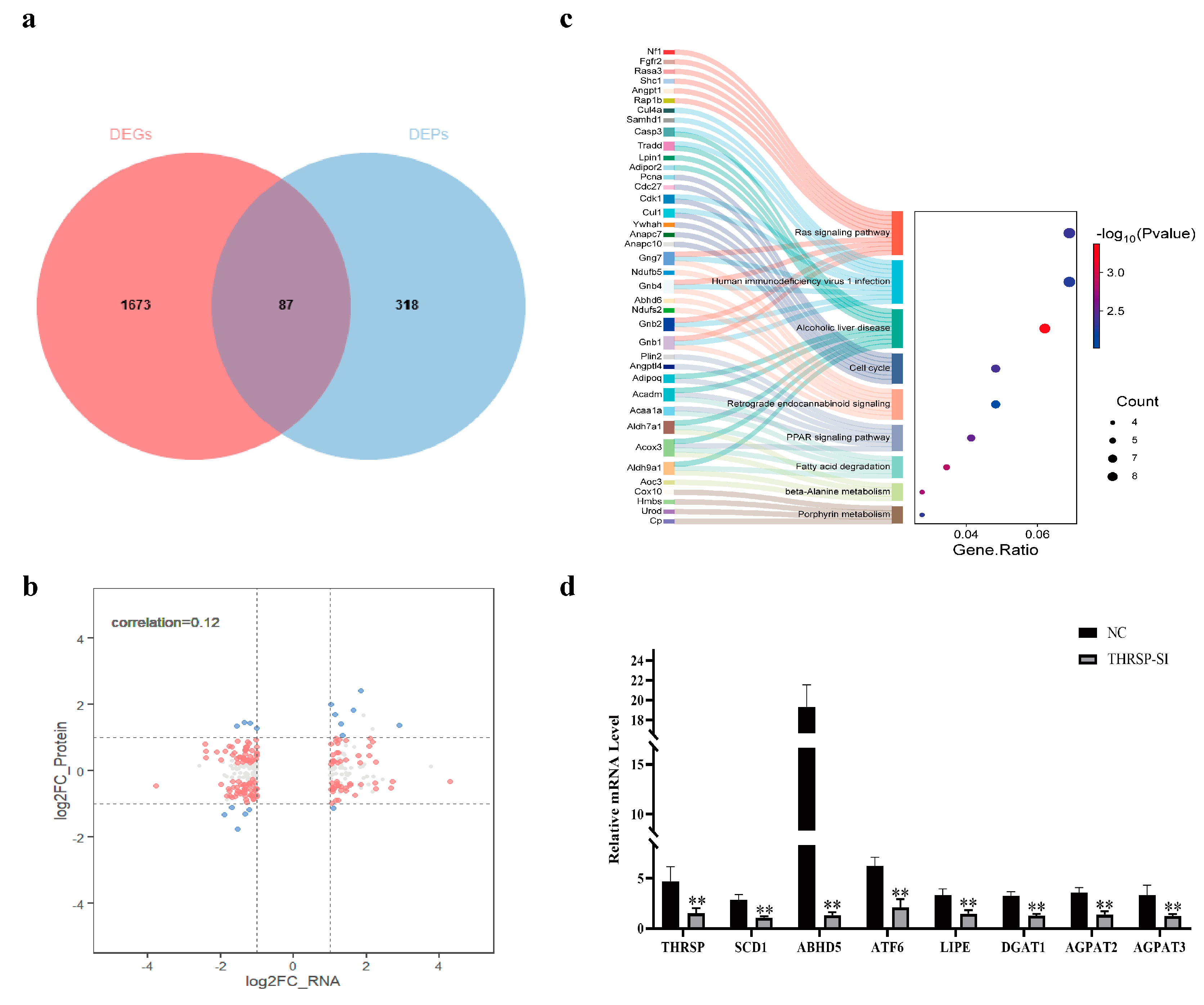 Genes 15 01562 g004 Genes 15 01562 g004