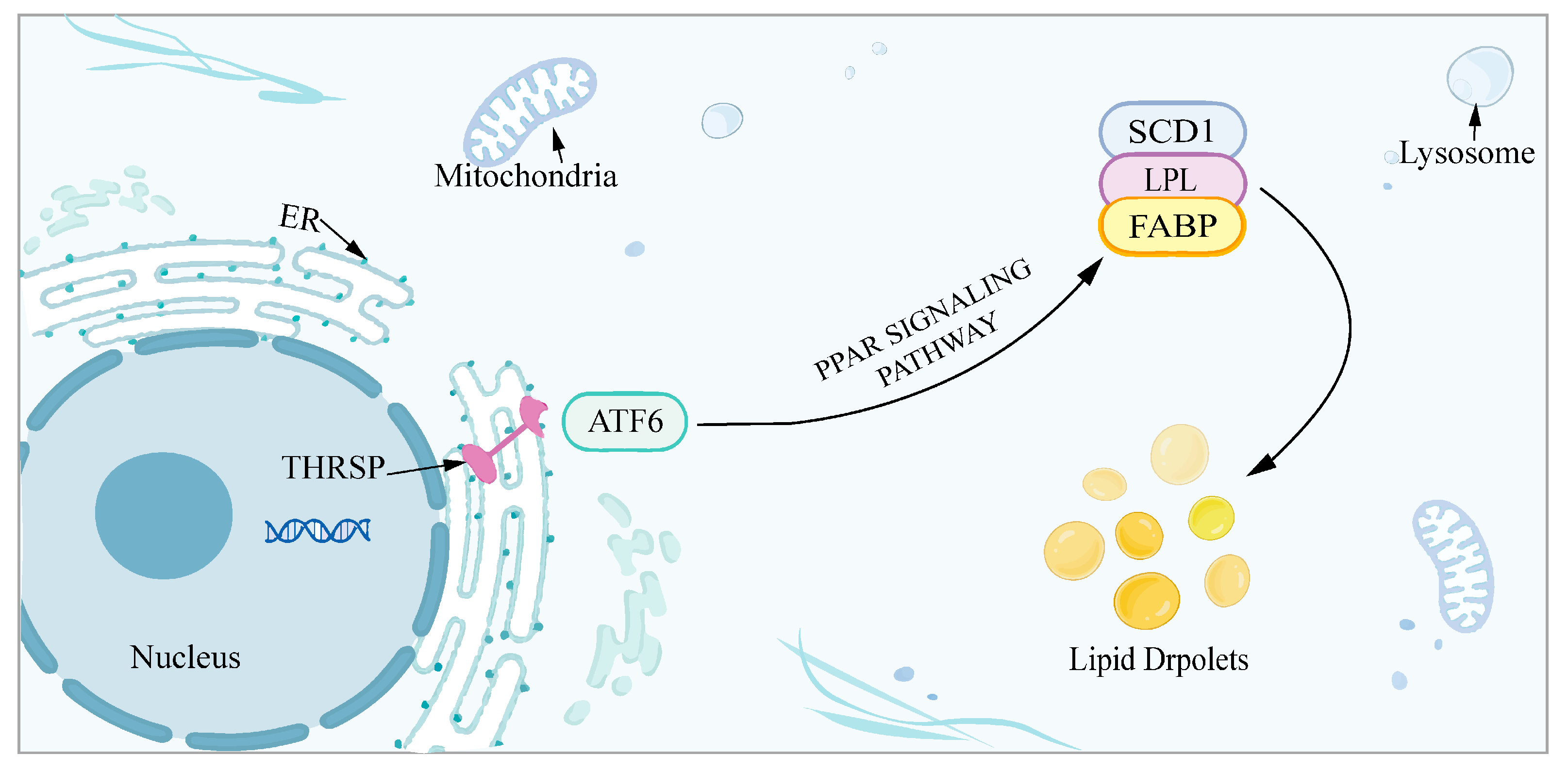 Genes 15 01562 g005 Genes 15 01562 g005