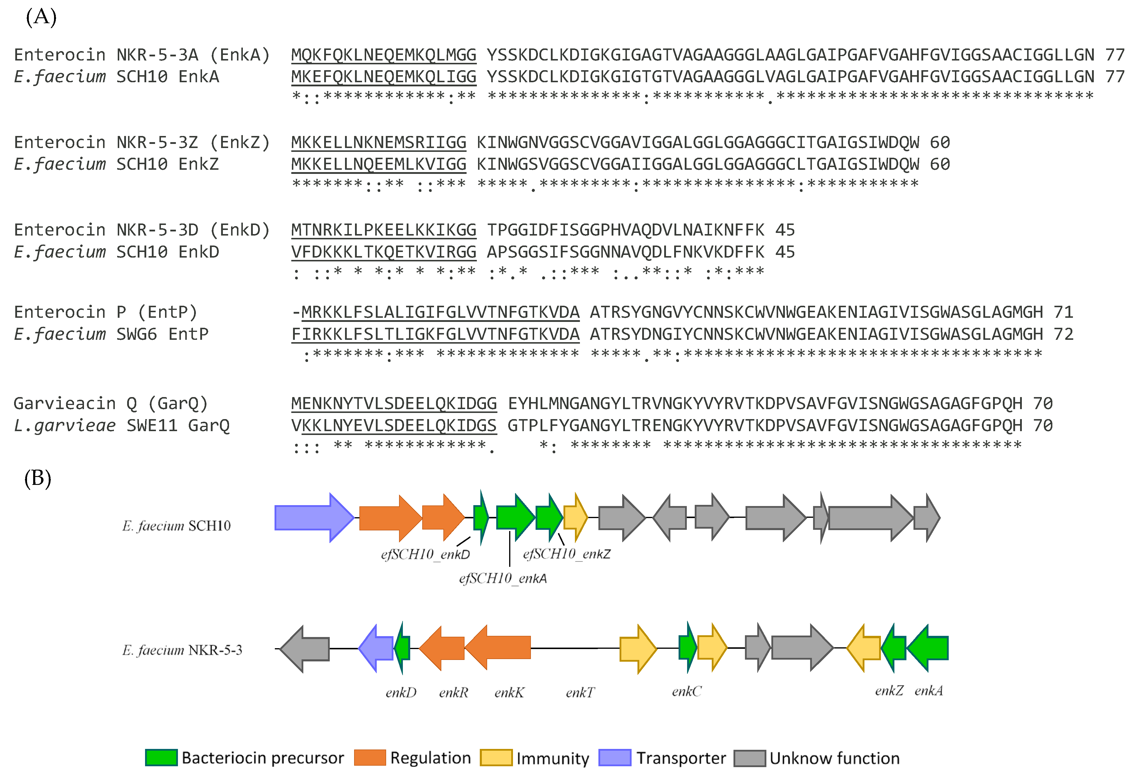 Genes 15 01564 g002