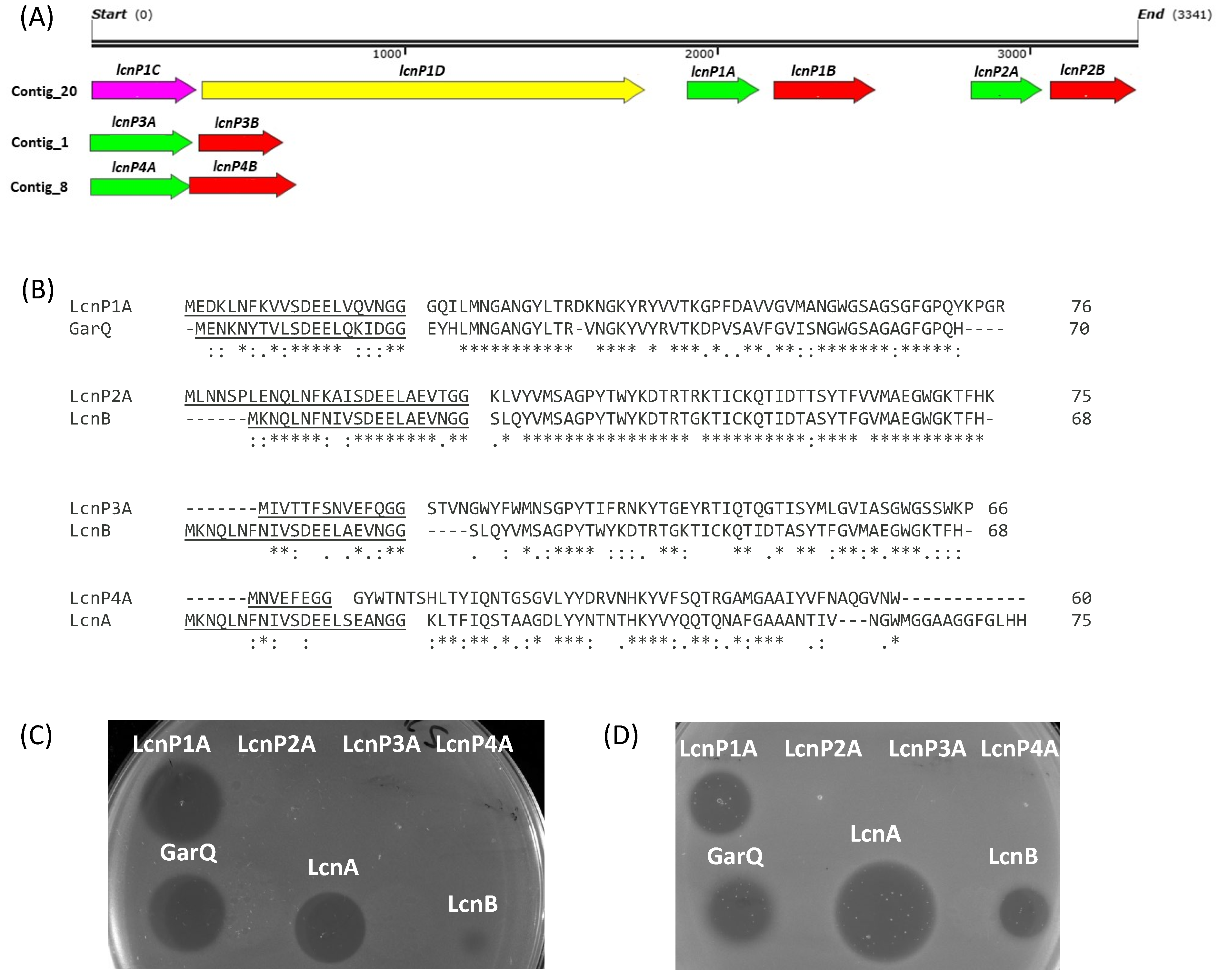 Genes 15 01564 g003