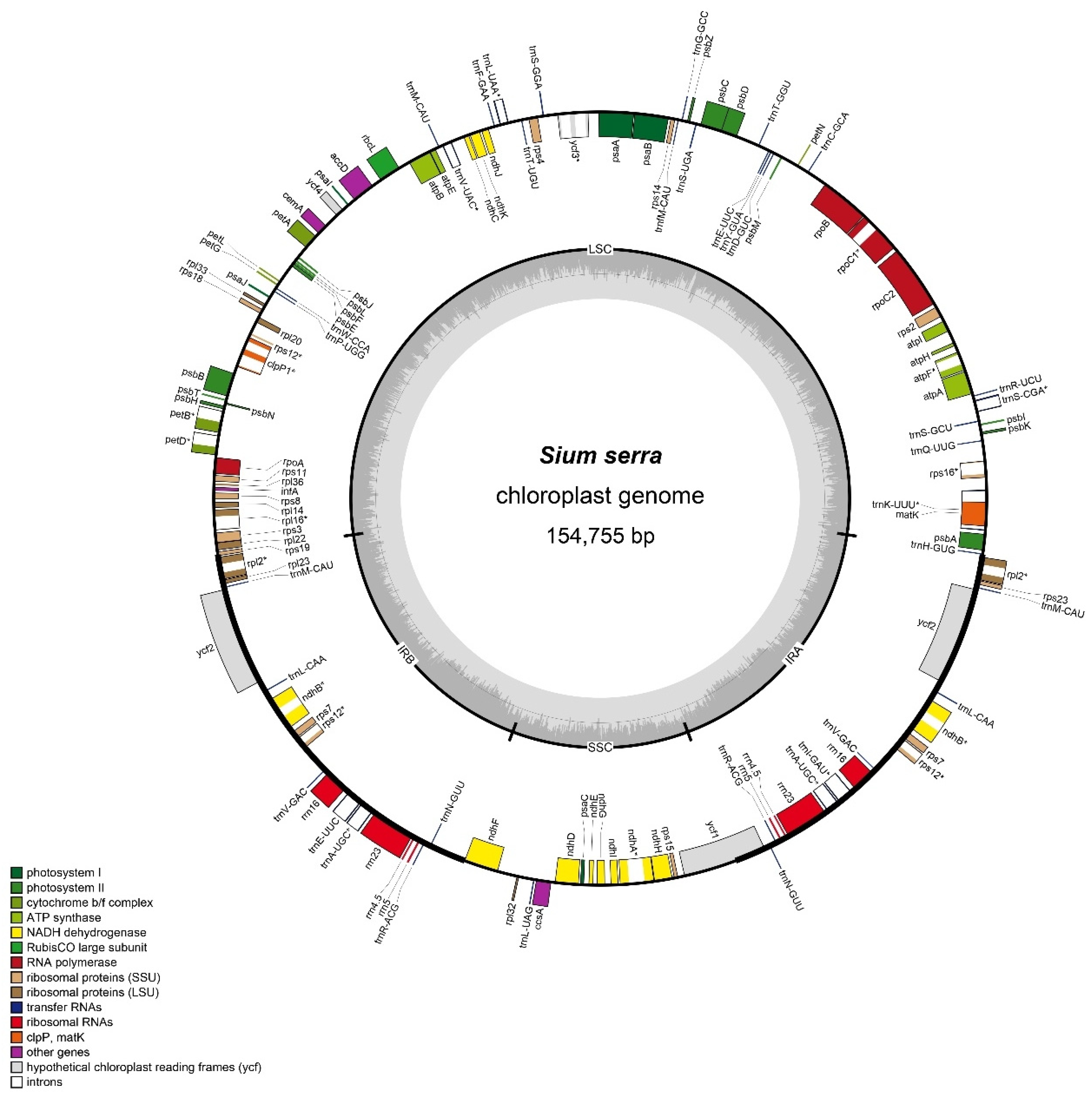 Genes 15 01567 g001 Genes 15 01567 g001