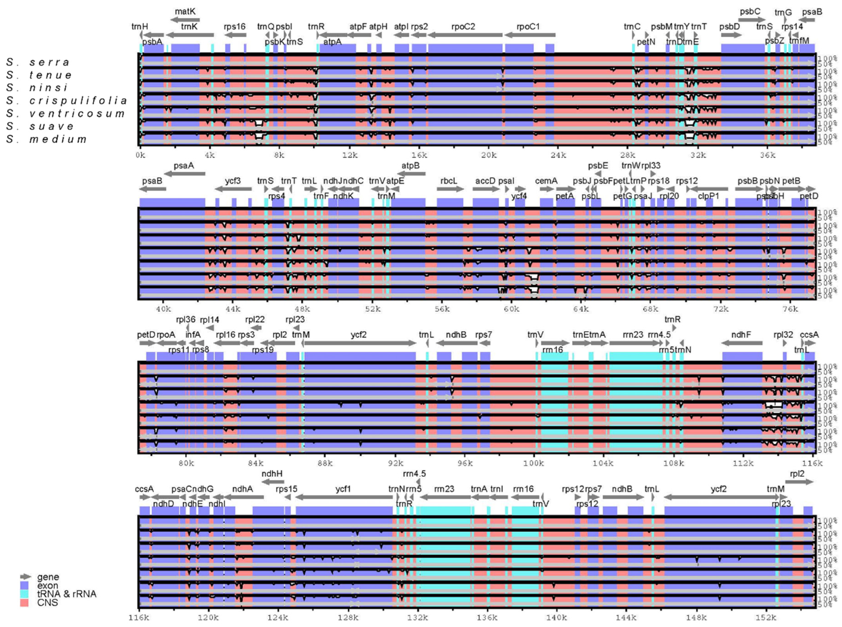 Genes 15 01567 g002 Genes 15 01567 g002