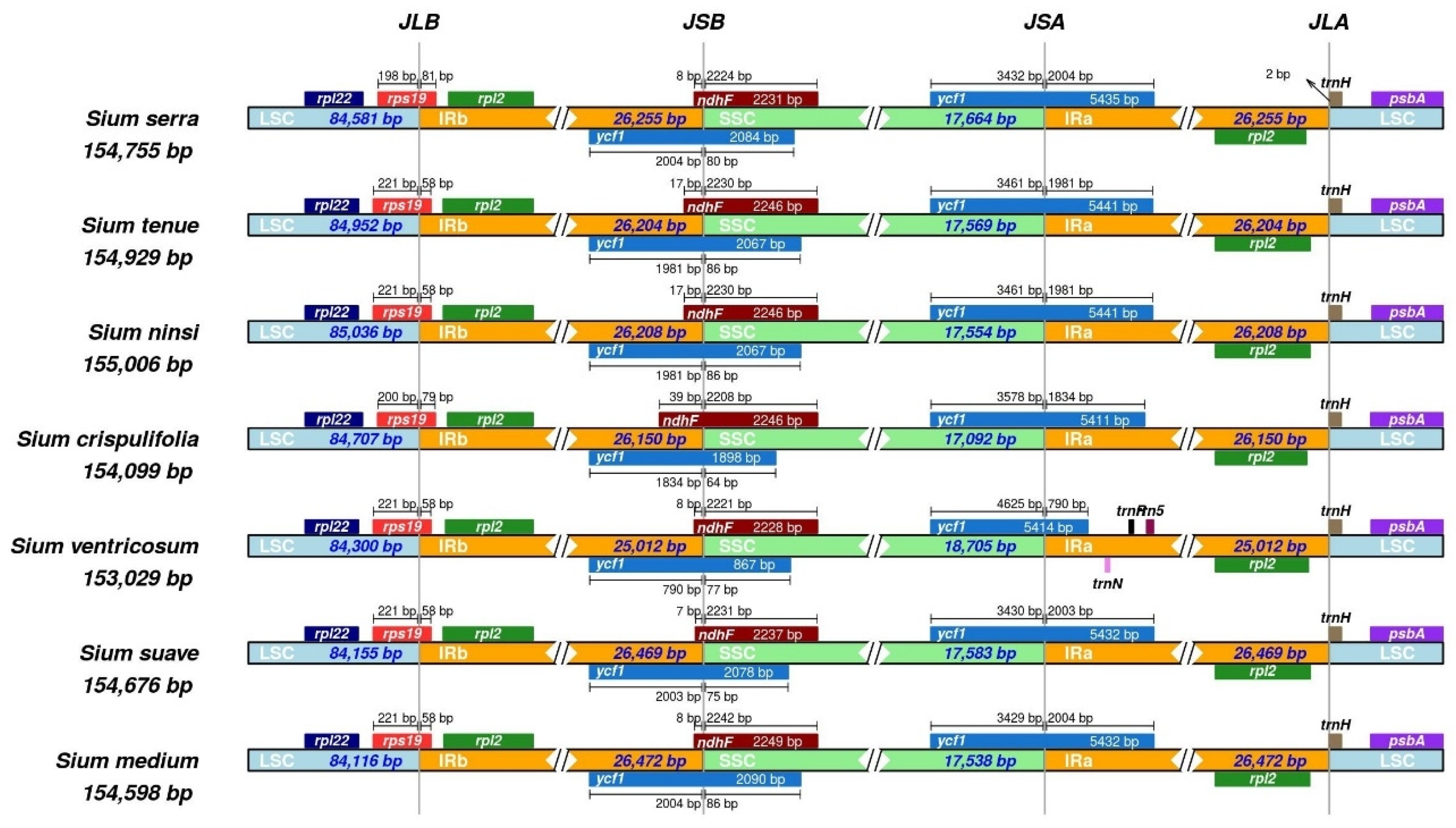 Genes 15 01567 g003 Genes 15 01567 g003