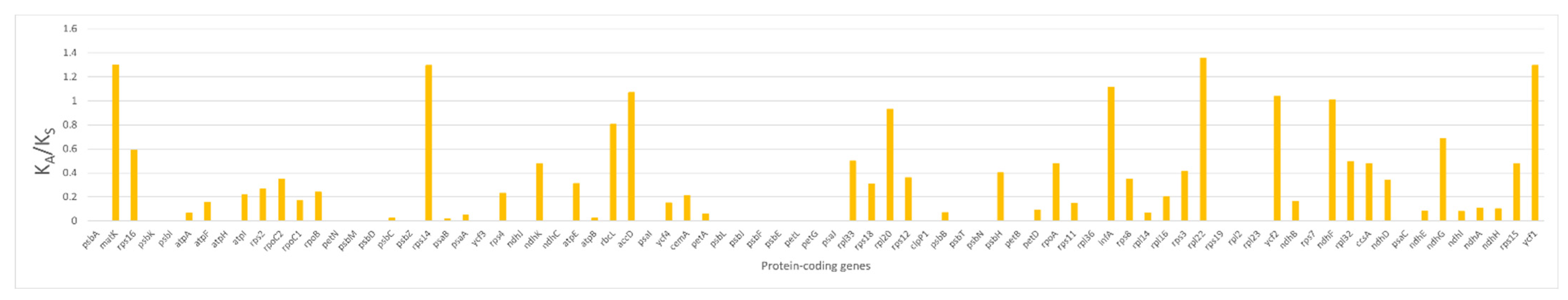 Genes 15 01567 g008 Genes 15 01567 g008