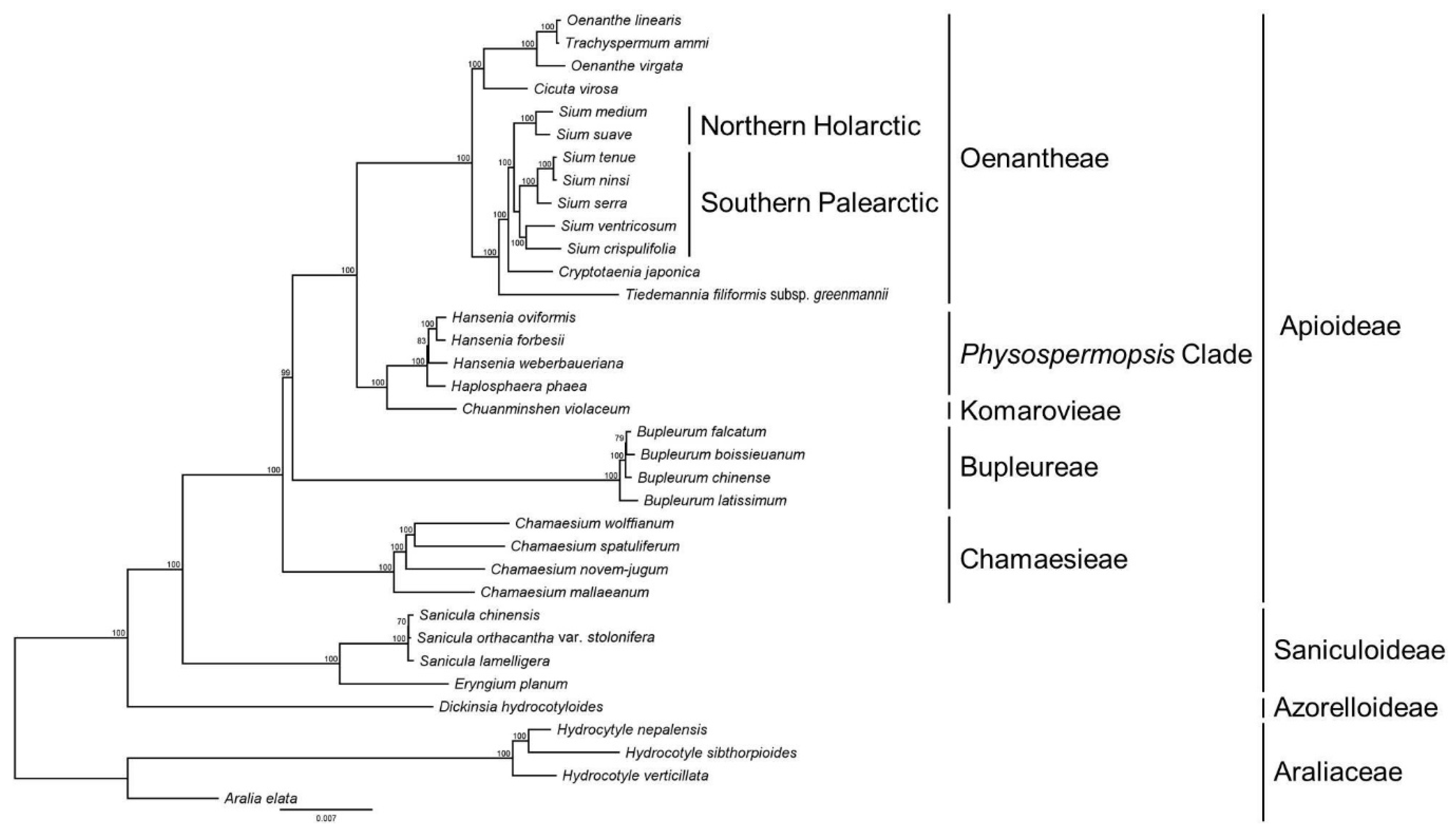 Genes 15 01567 g009 Genes 15 01567 g009