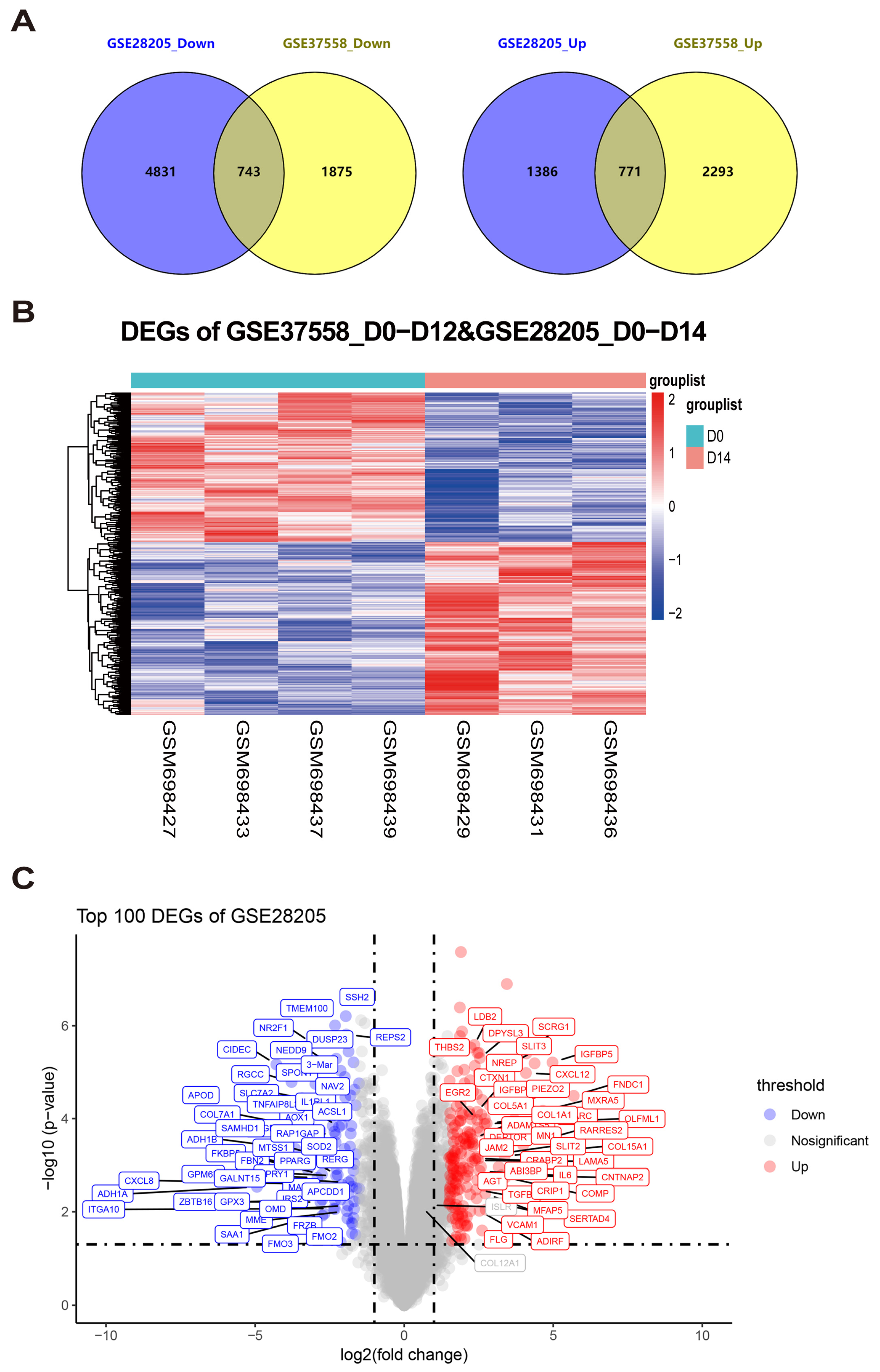 Exploration of Key Regulatory Factors in Mesenchymal Stem