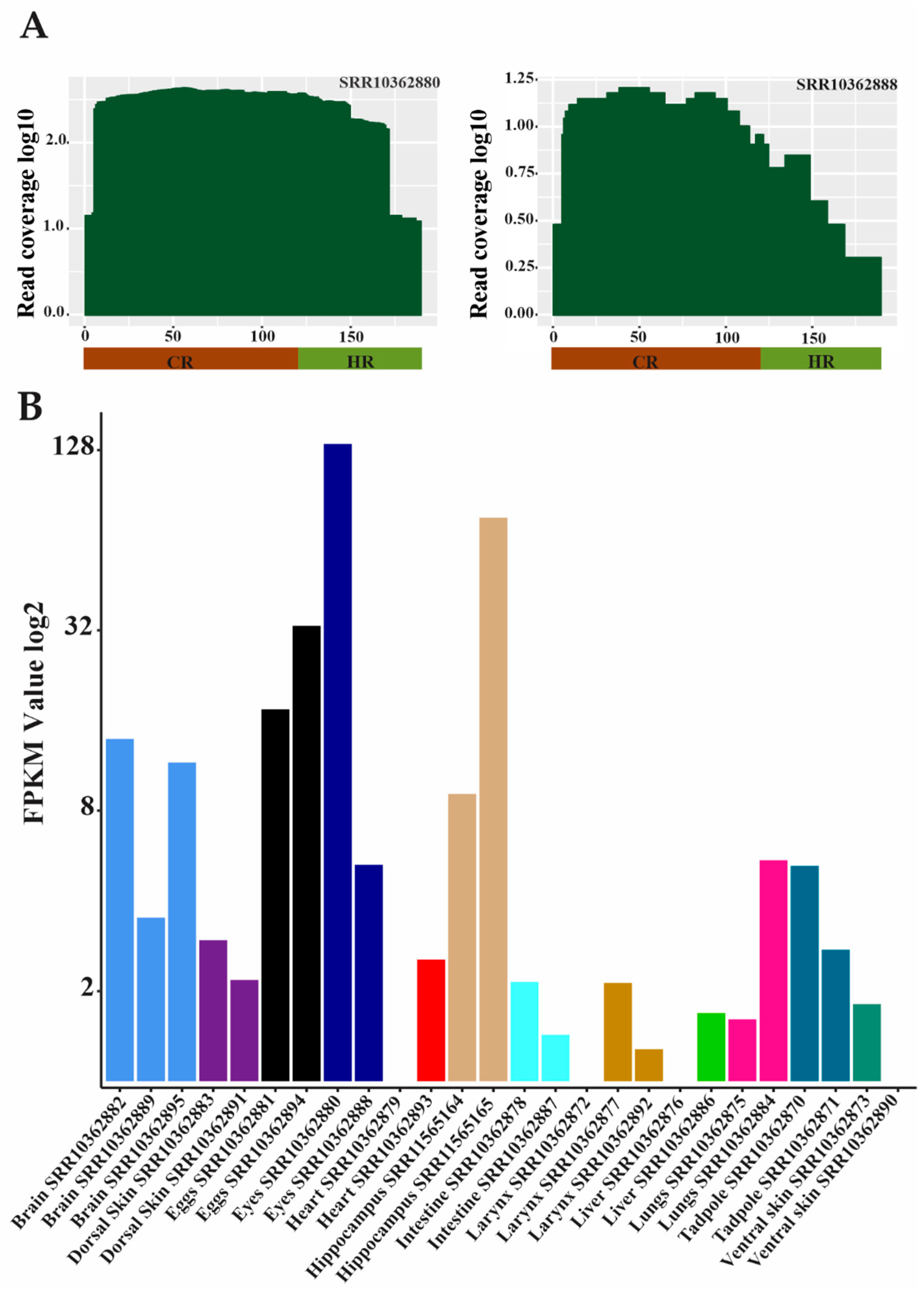 Genes 15 01572 g005