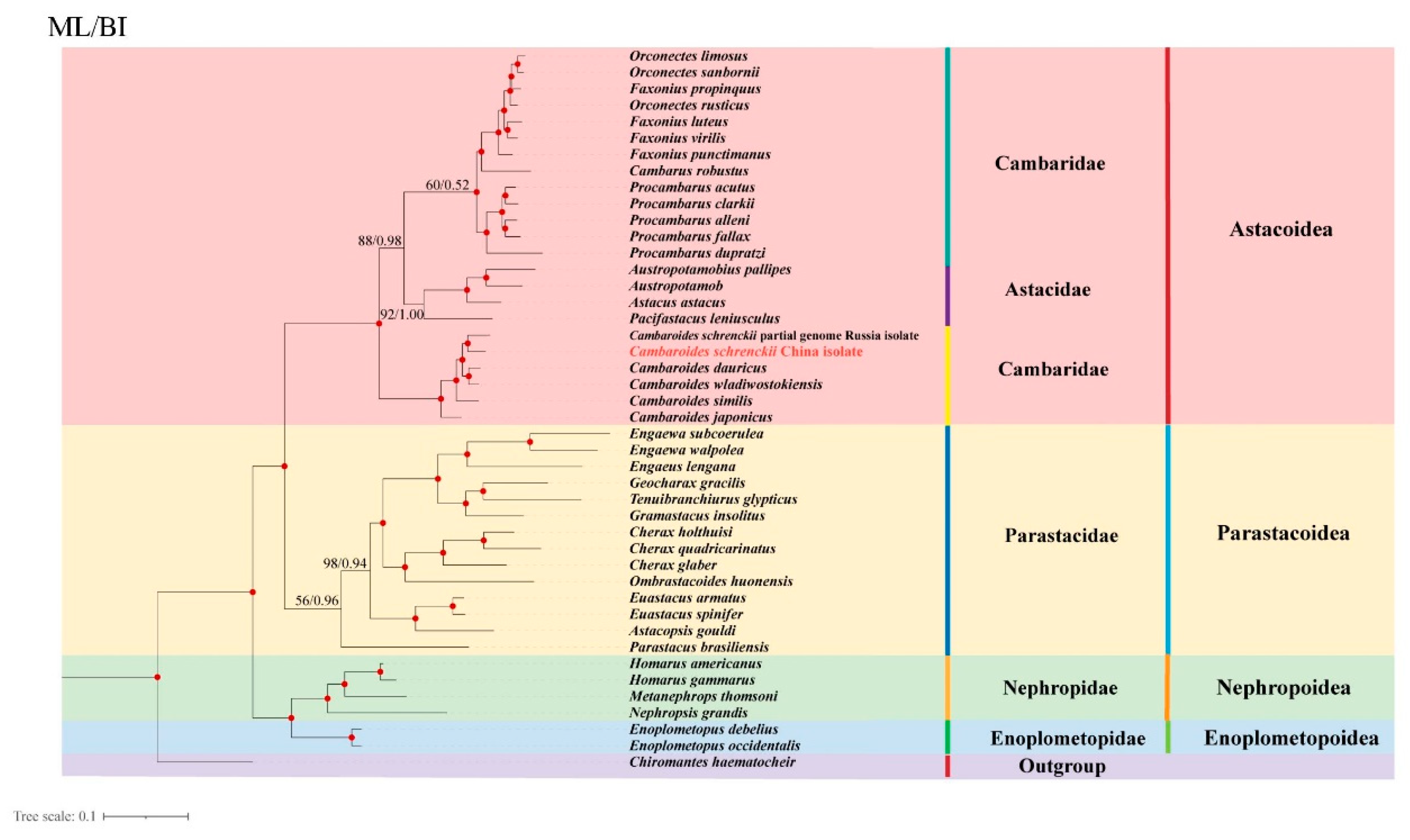 Genes 15 01578 g006