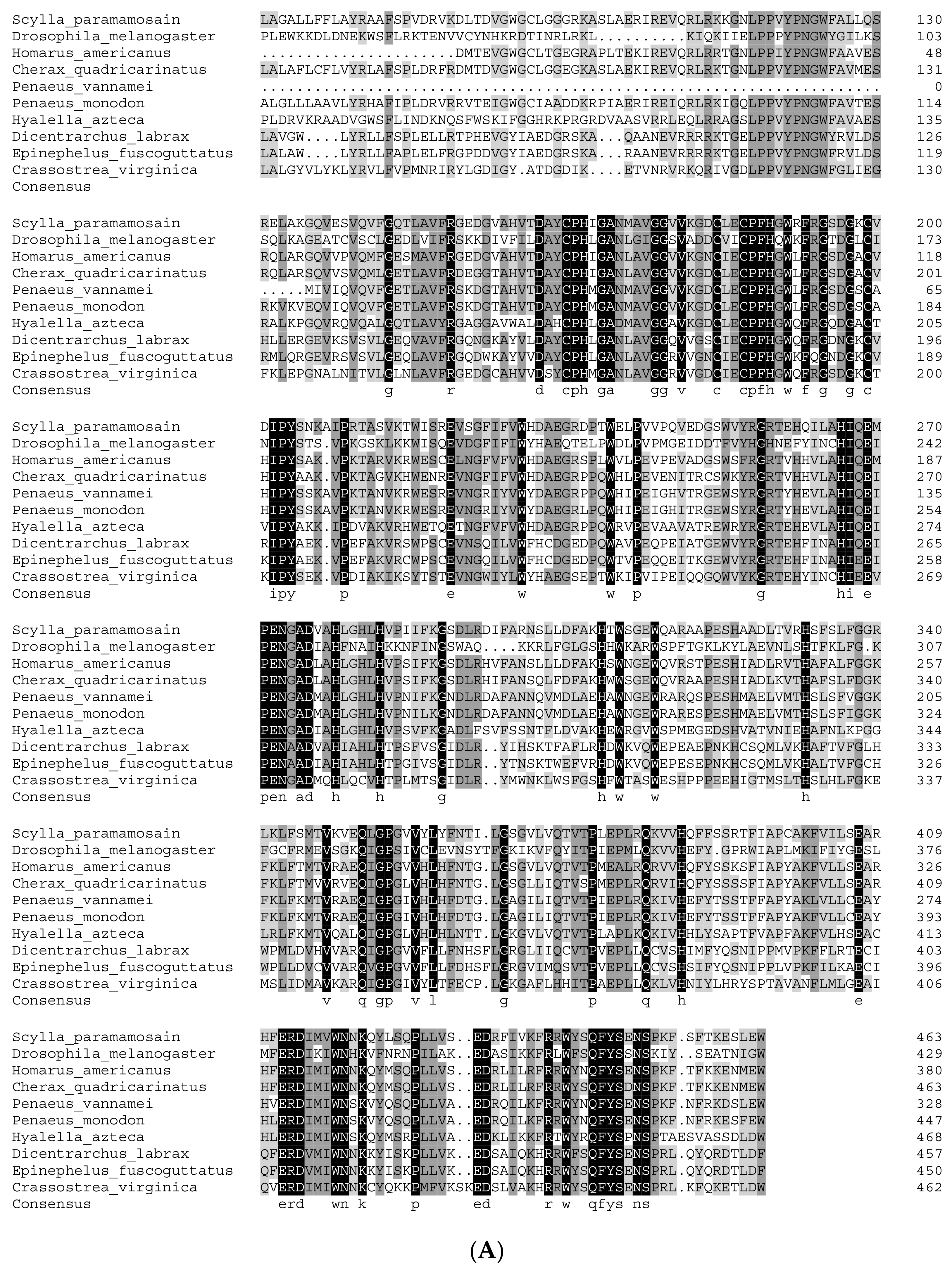 Genes 15 01586 g002a