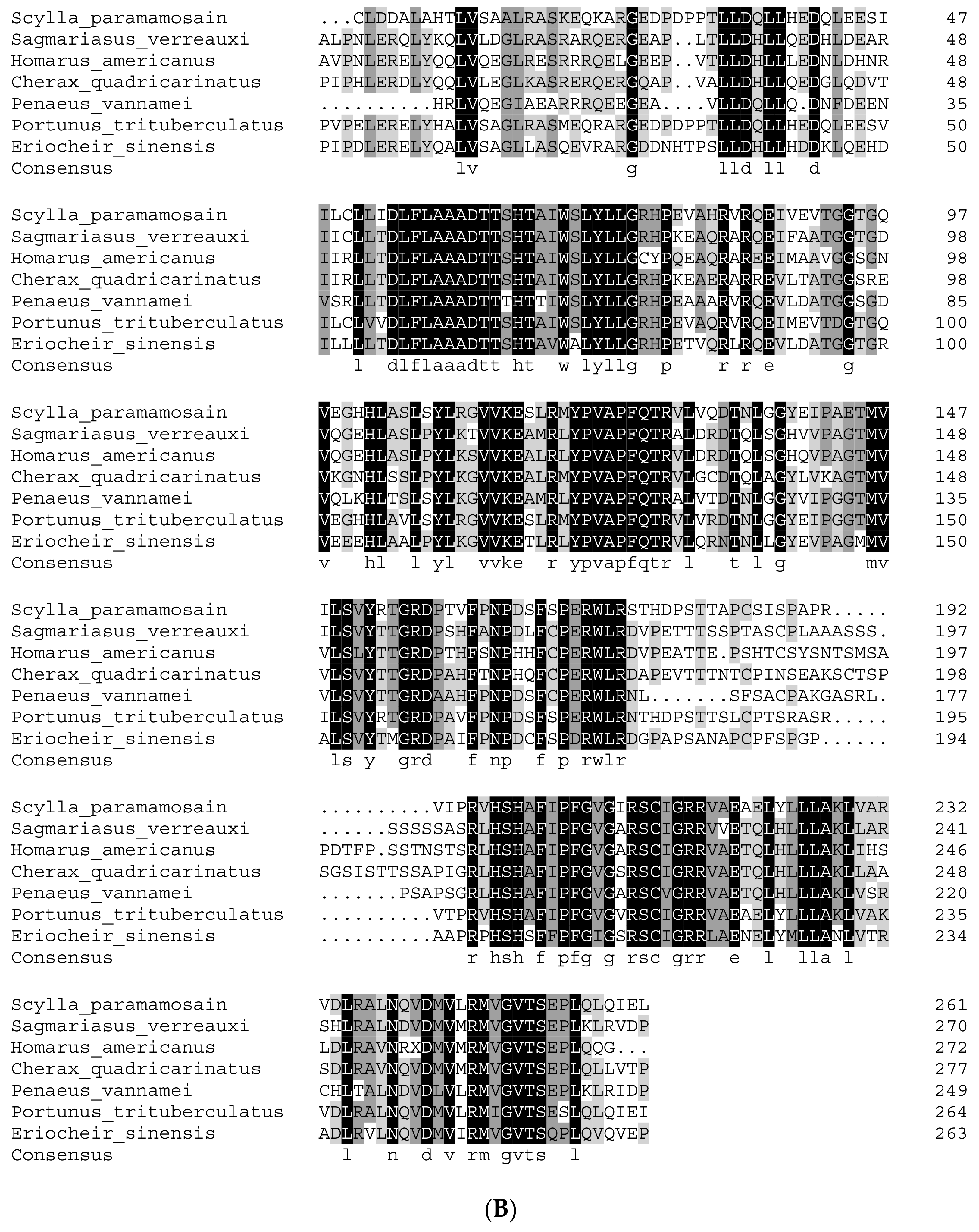 Genes 15 01586 g002b