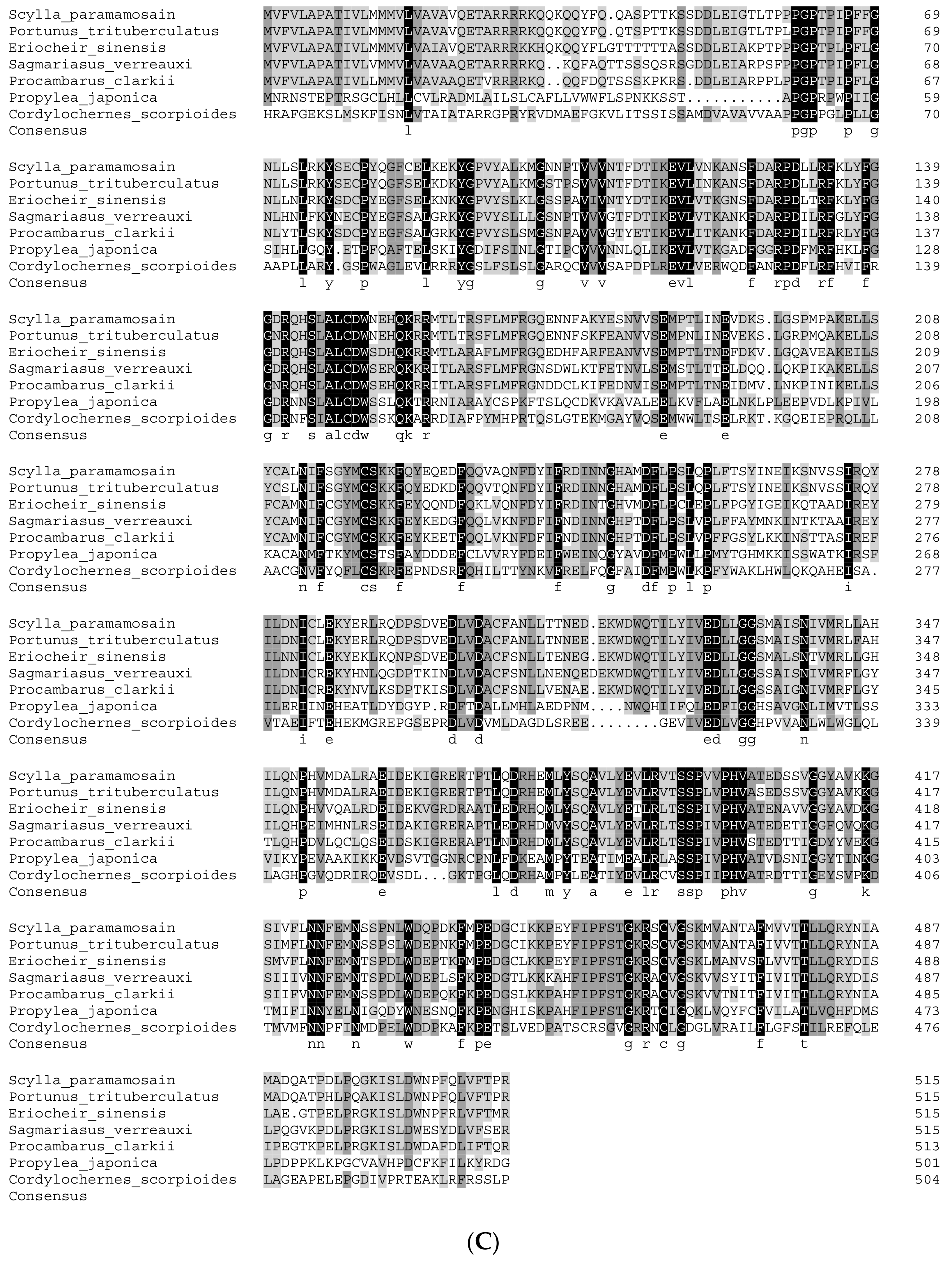 Genes 15 01586 g002c