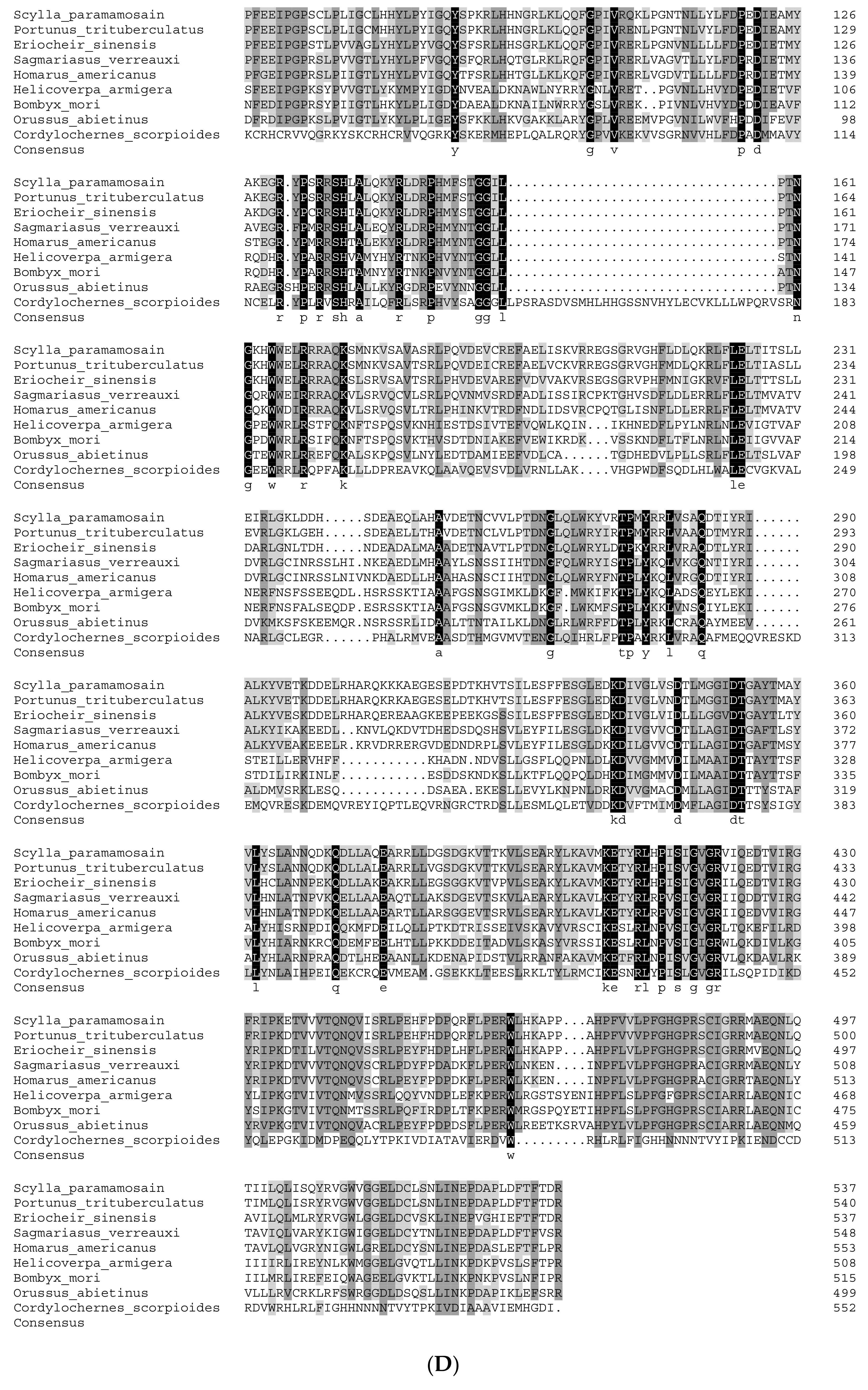Genes 15 01586 g002d