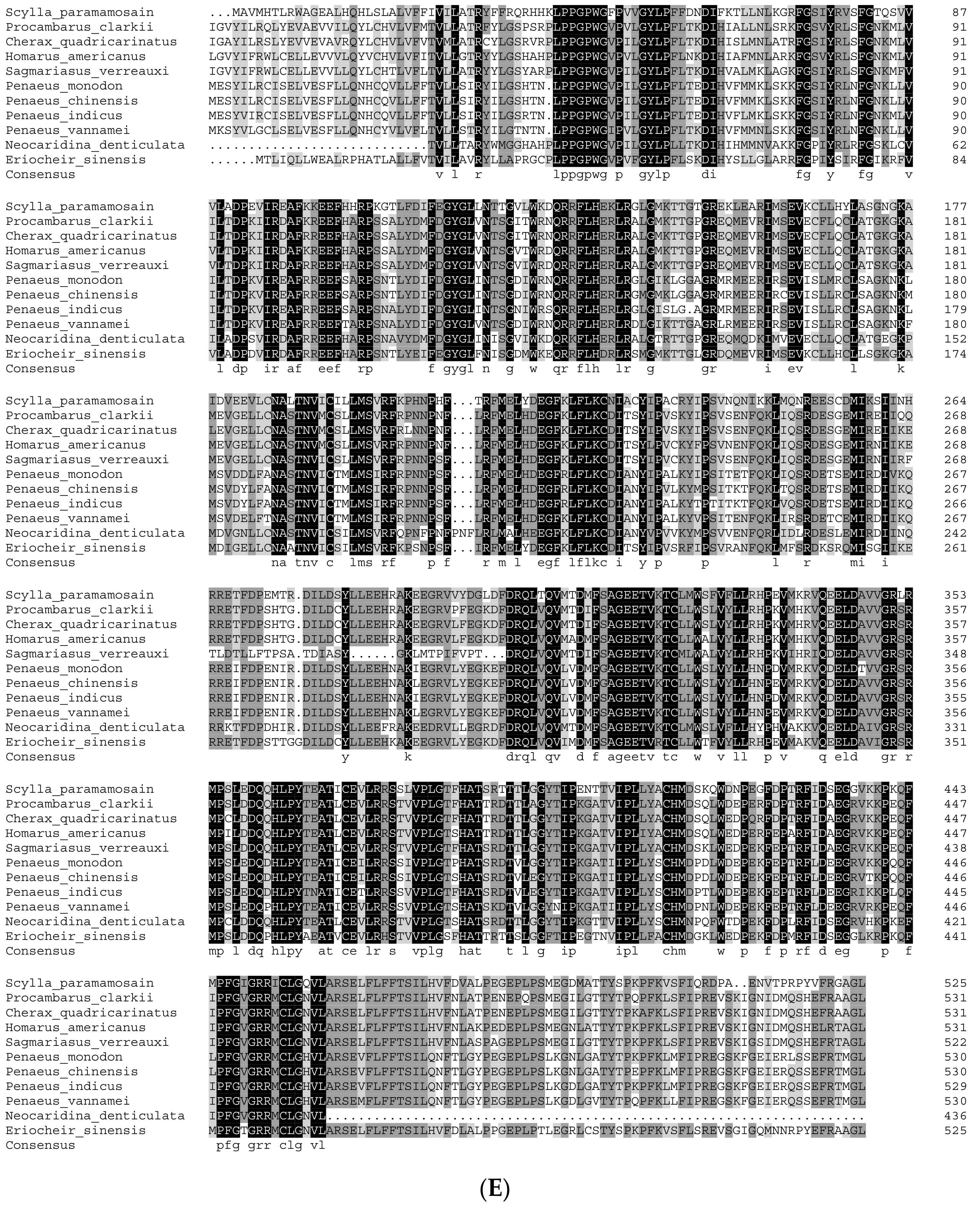 Genes 15 01586 g002e