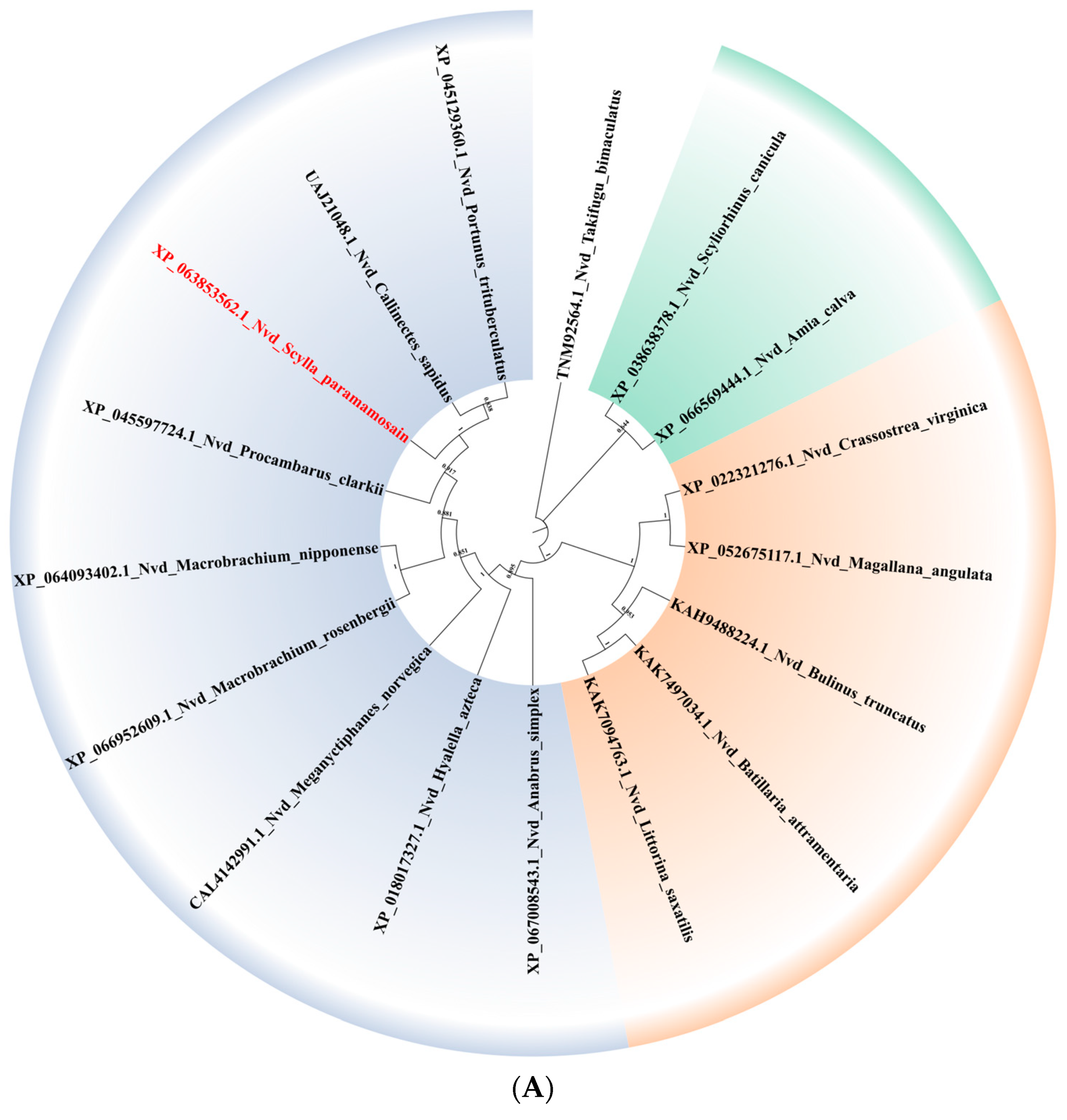 Genes 15 01586 g003a